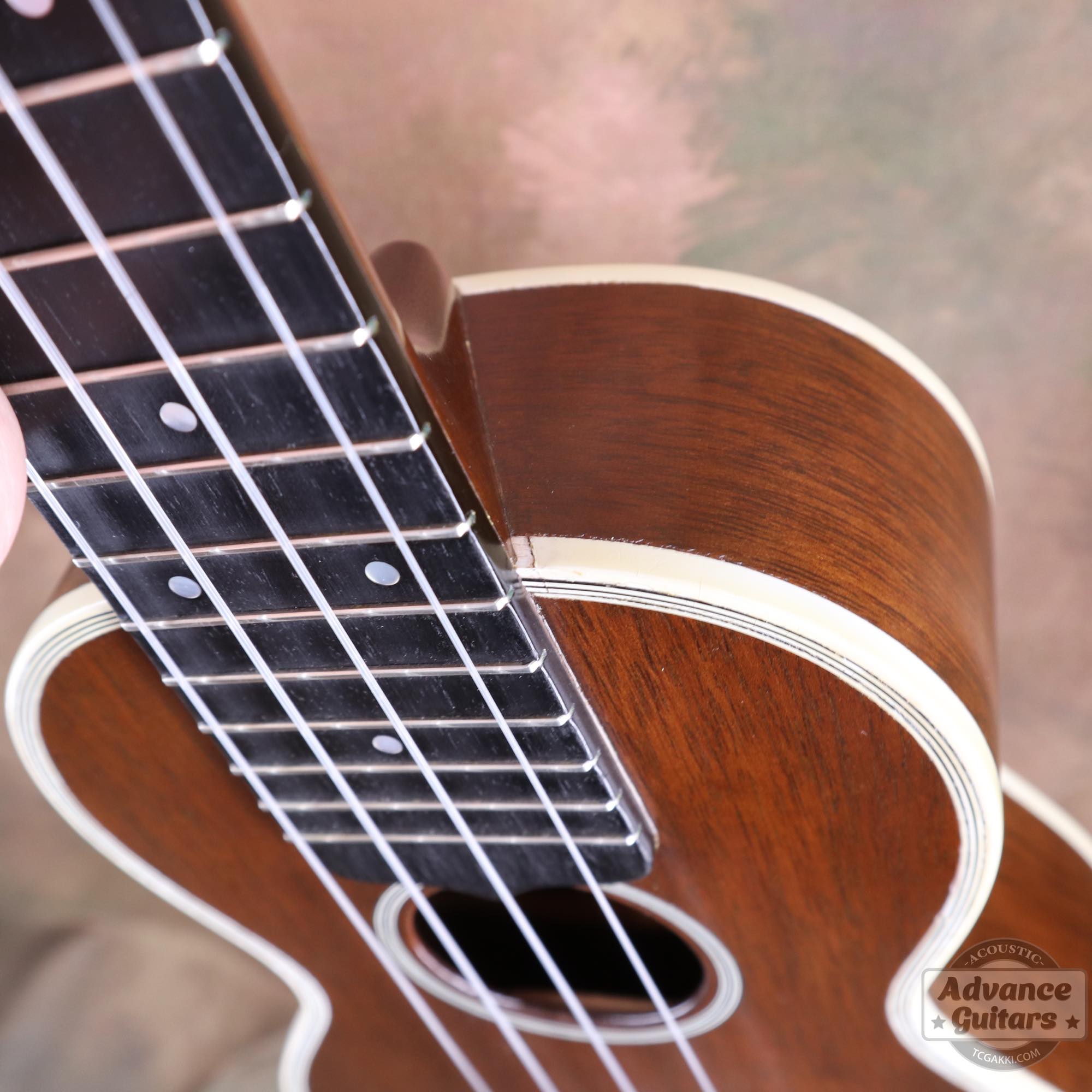 Style - 3M - TC楽器 - TCGAKKI