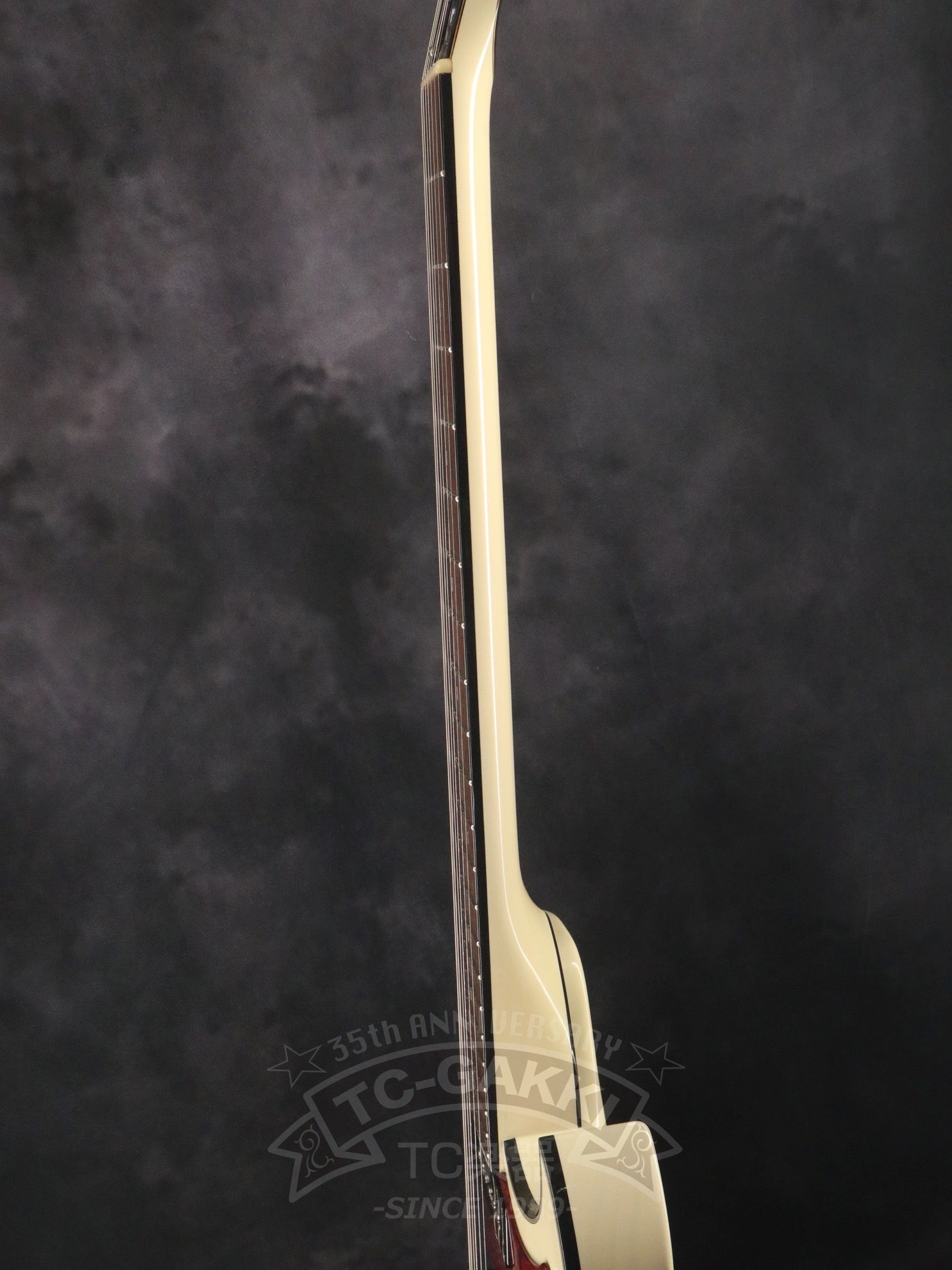 Style - D - TC楽器 - TCGAKKI