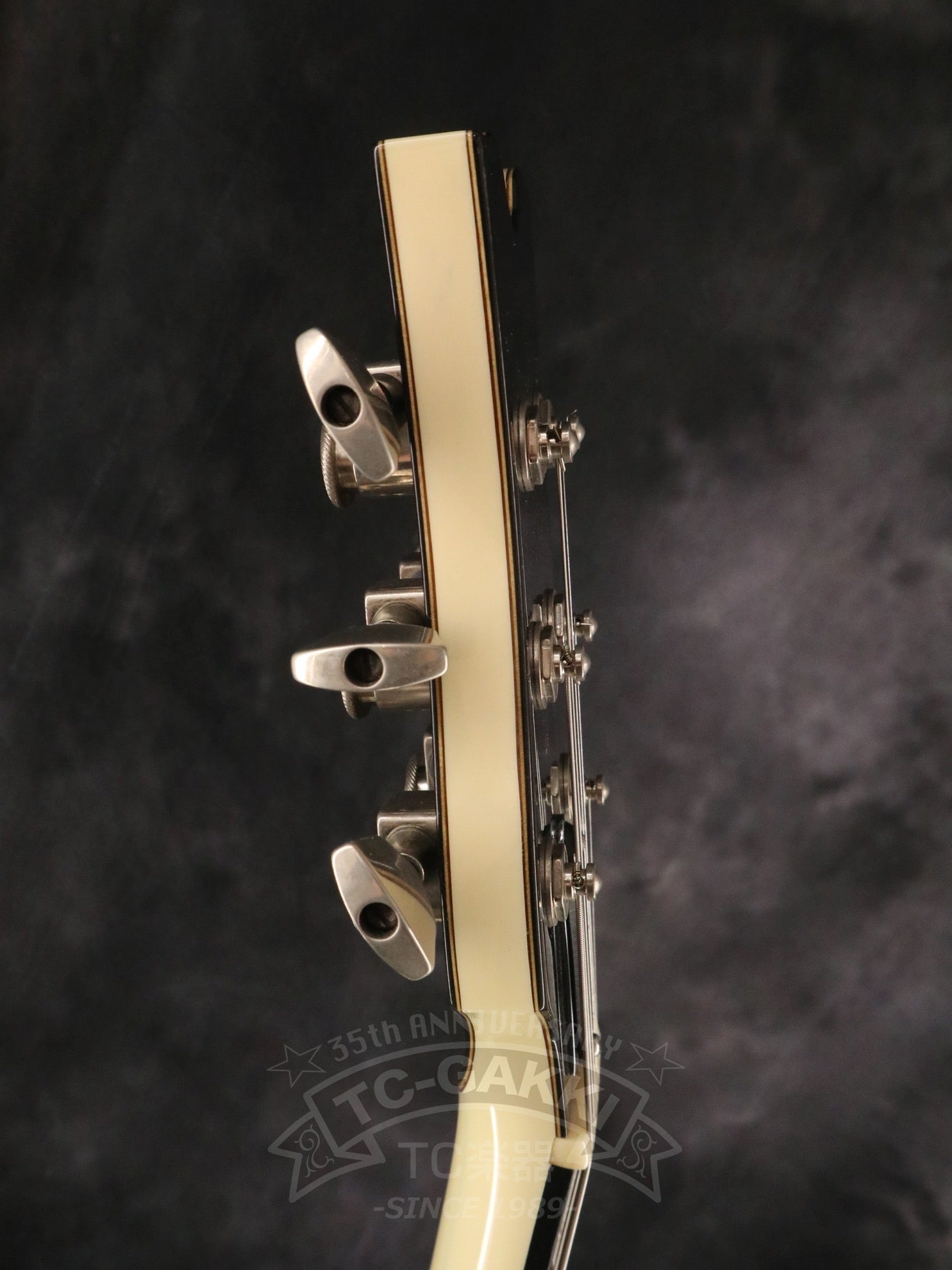 Style - D - TC楽器 - TCGAKKI