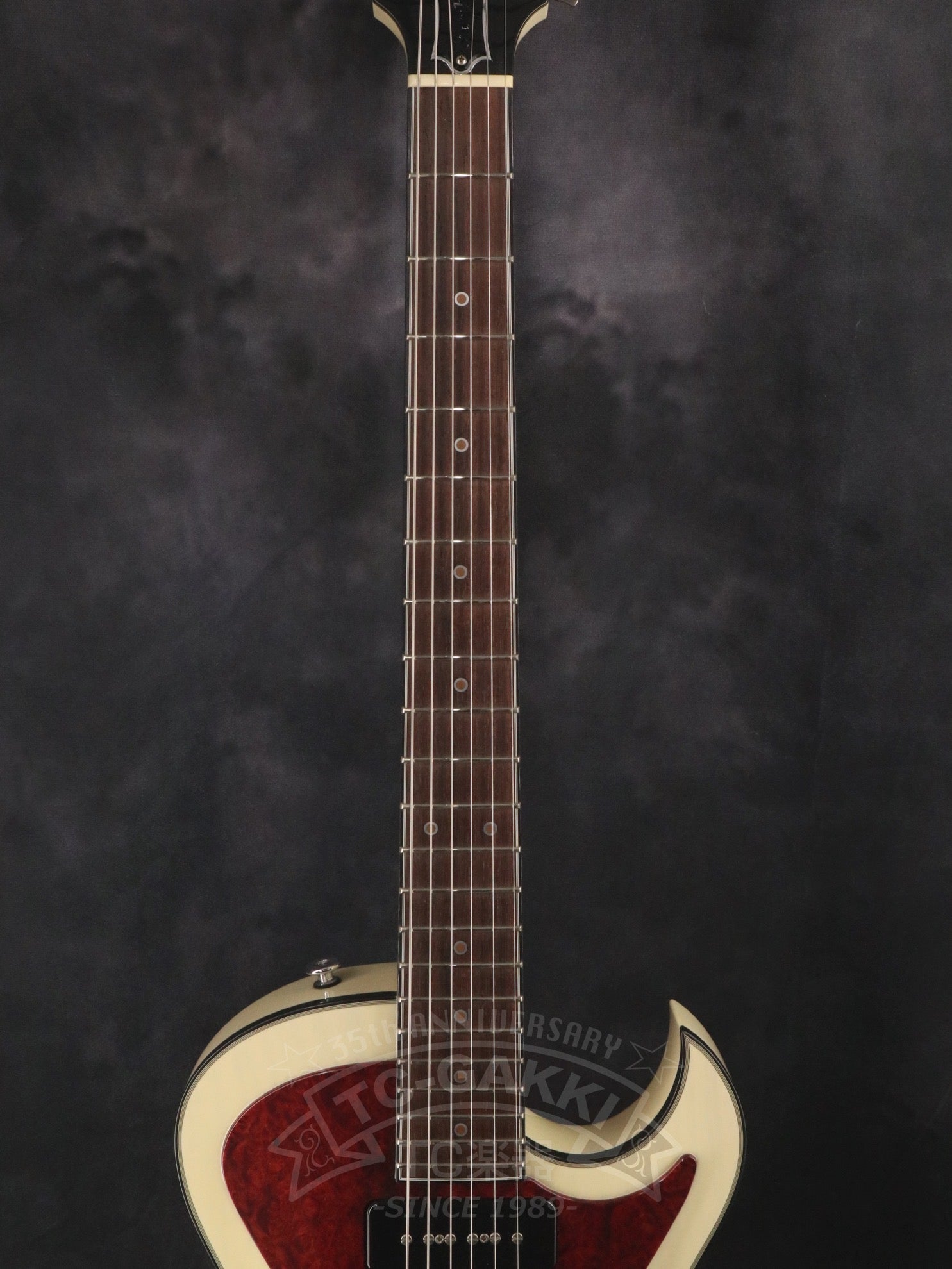 Style - D - TC楽器 - TCGAKKI