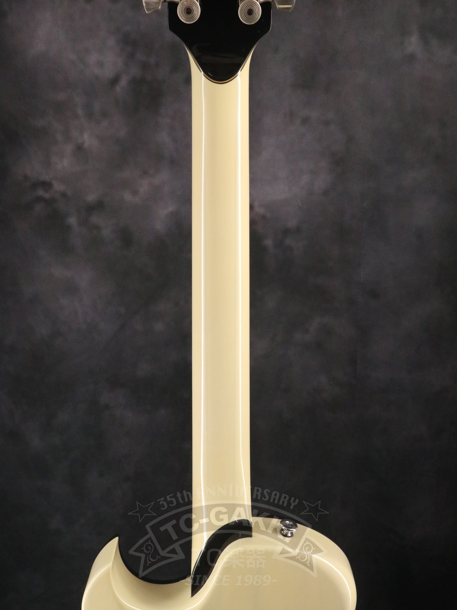 Style-D - TC楽器 - TCGAKKI