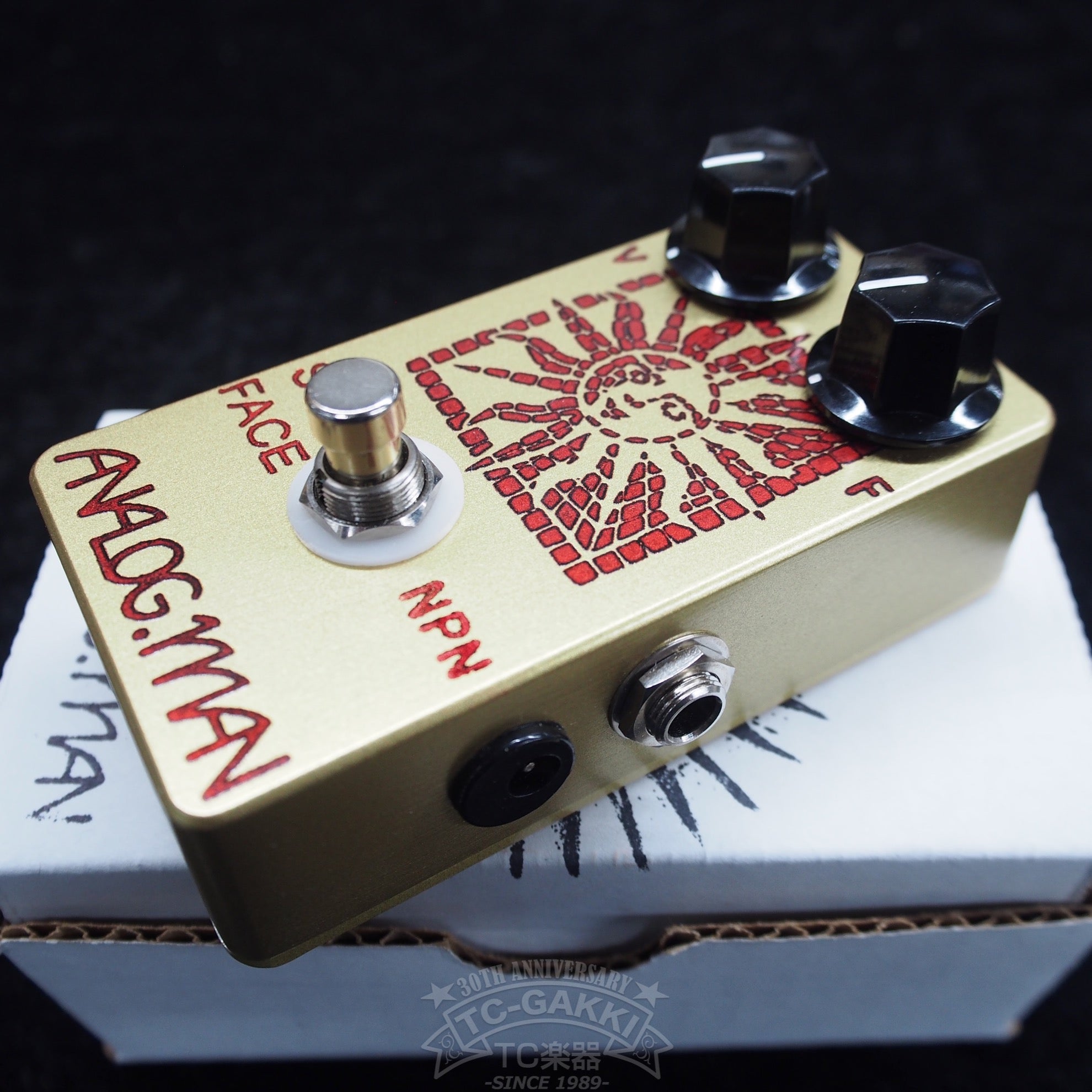 SUN FACE NPN w/DC - Jack - TC楽器 - TCGAKKI