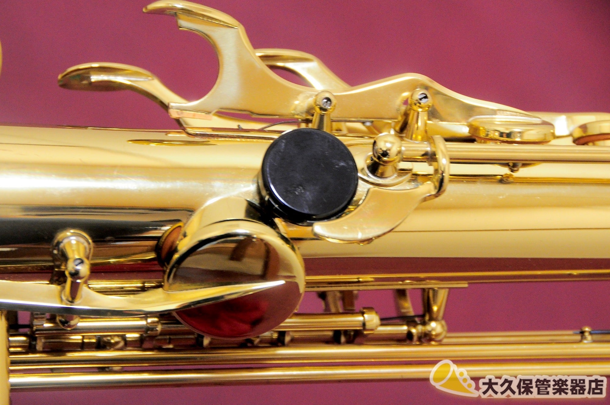 セルマー・パリ Super Action 80 SERIE II 彫刻模様入り w/GP Neck 