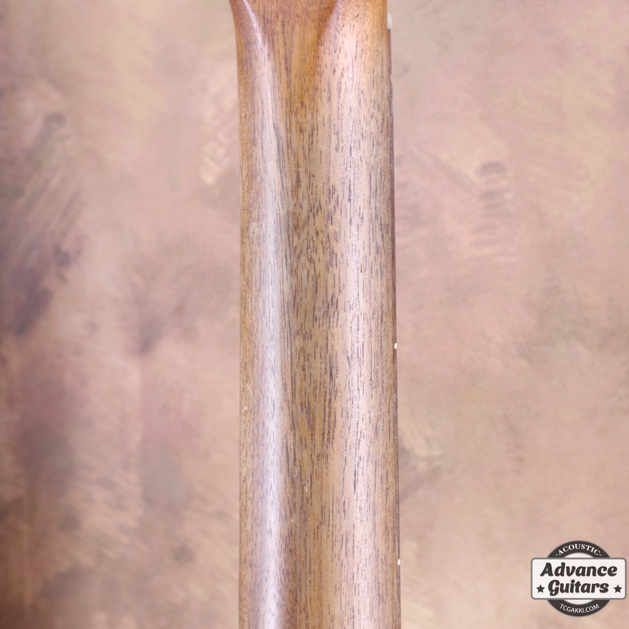 Super Adamas 1687 - 5 - TC楽器 - TCGAKKI