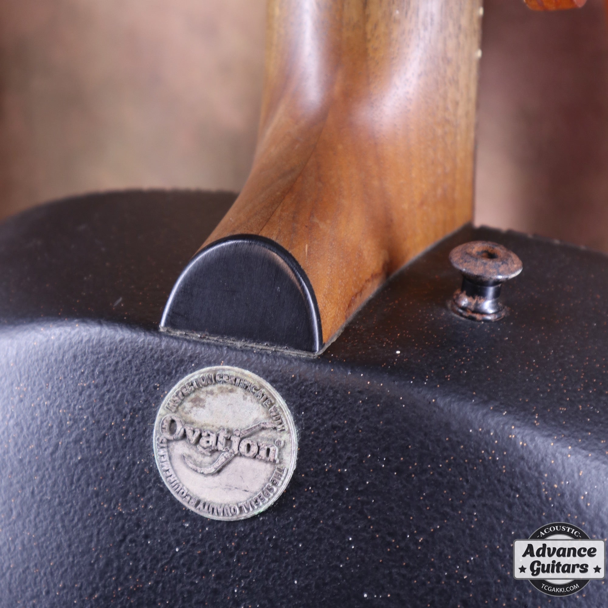 Super Adamas 1687 - 5 - TC楽器 - TCGAKKI