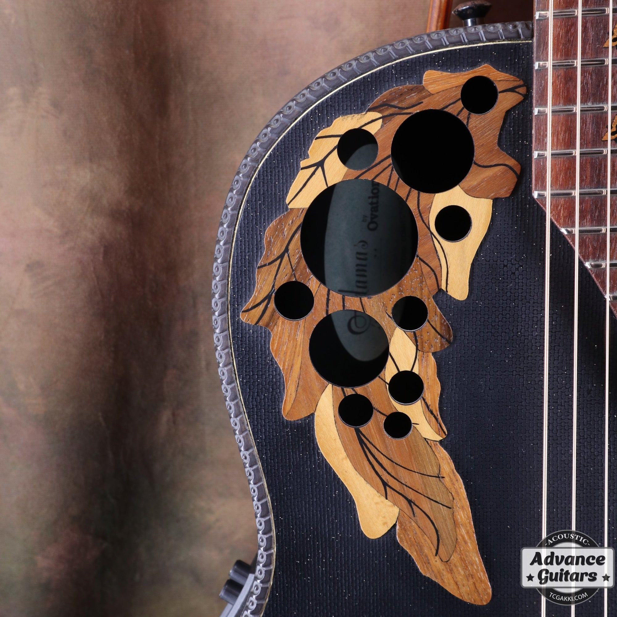 Super Adamas 1687 - 5 - TC楽器 - TCGAKKI