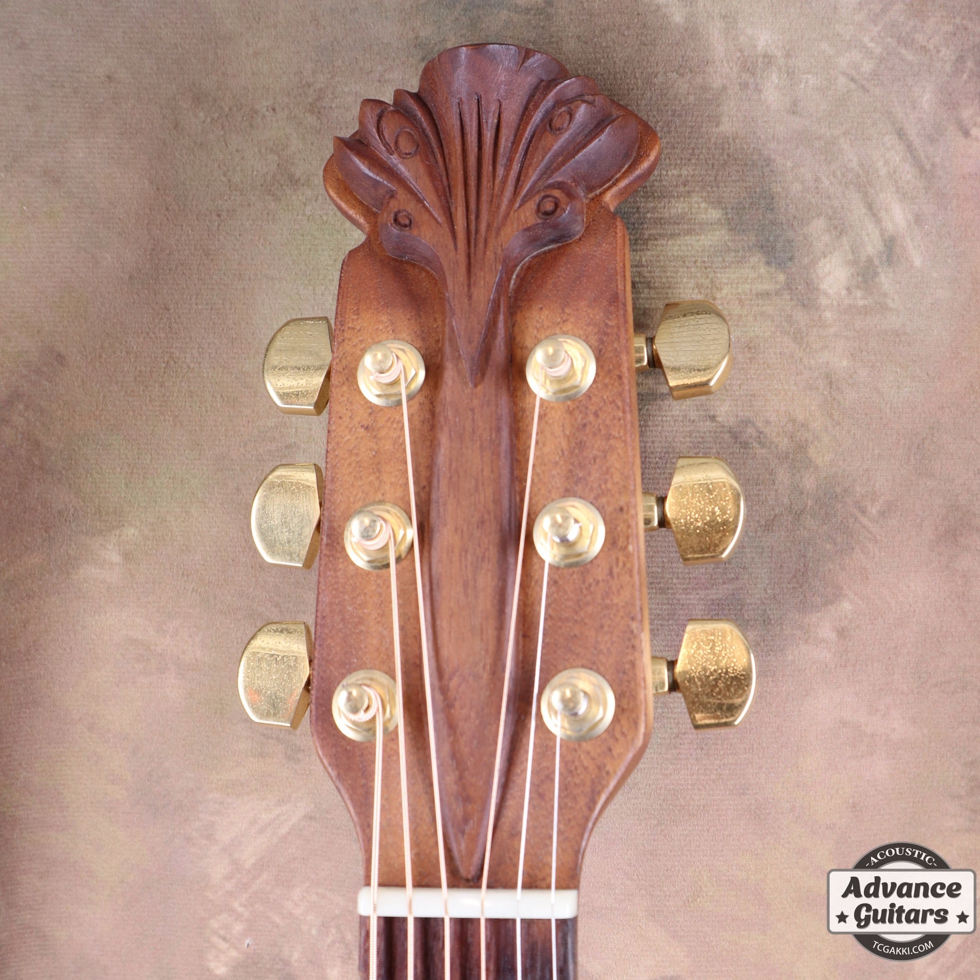 Super Adamas 1687 - 5 - TC楽器 - TCGAKKI