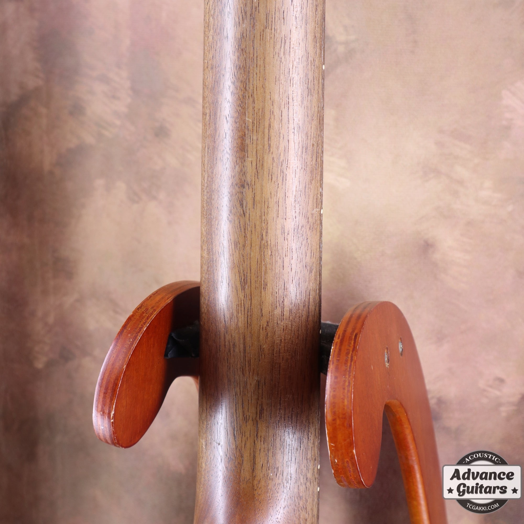 Super Adamas 1687 - 5 - TC楽器 - TCGAKKI