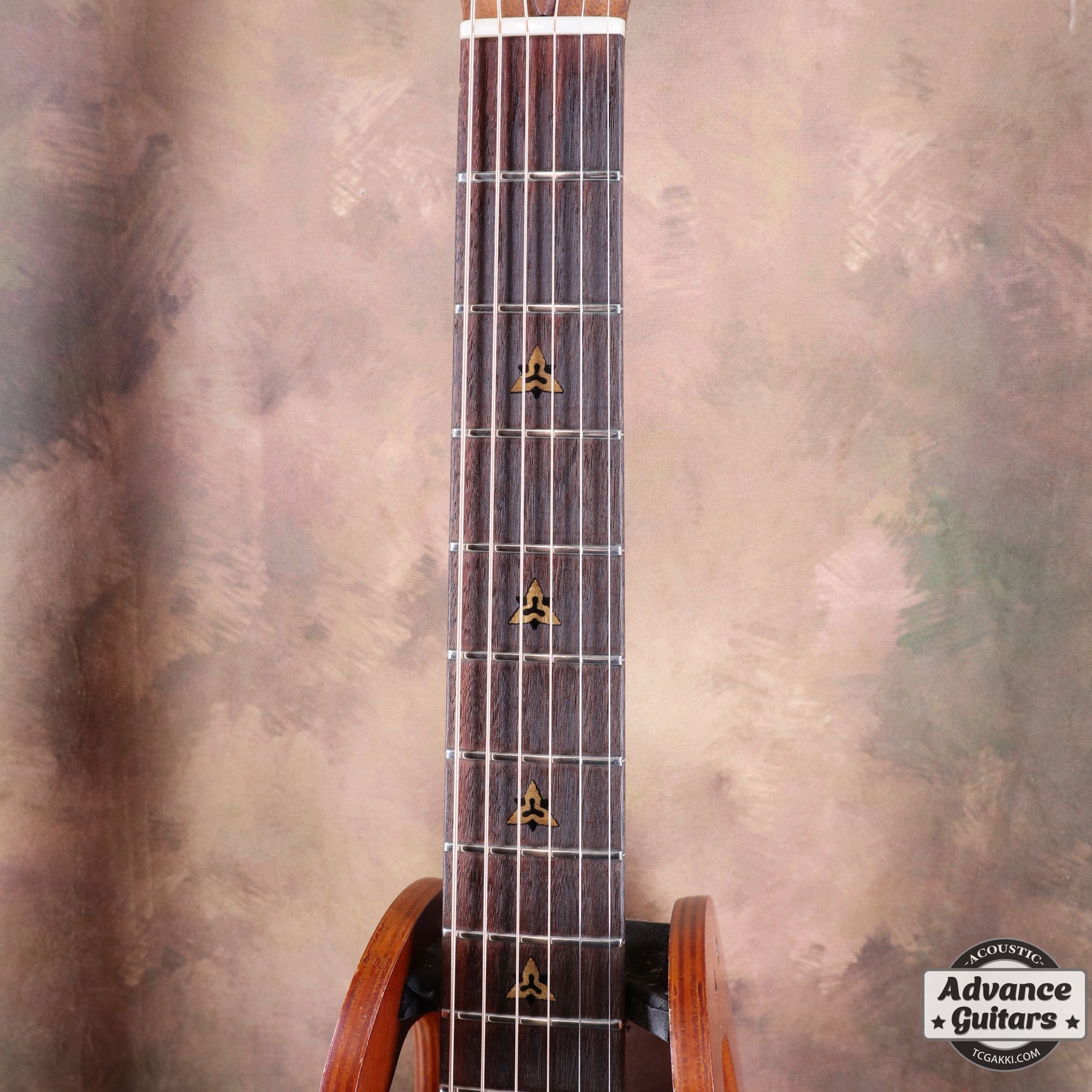 Super Adamas 1687 - 5 - TC楽器 - TCGAKKI