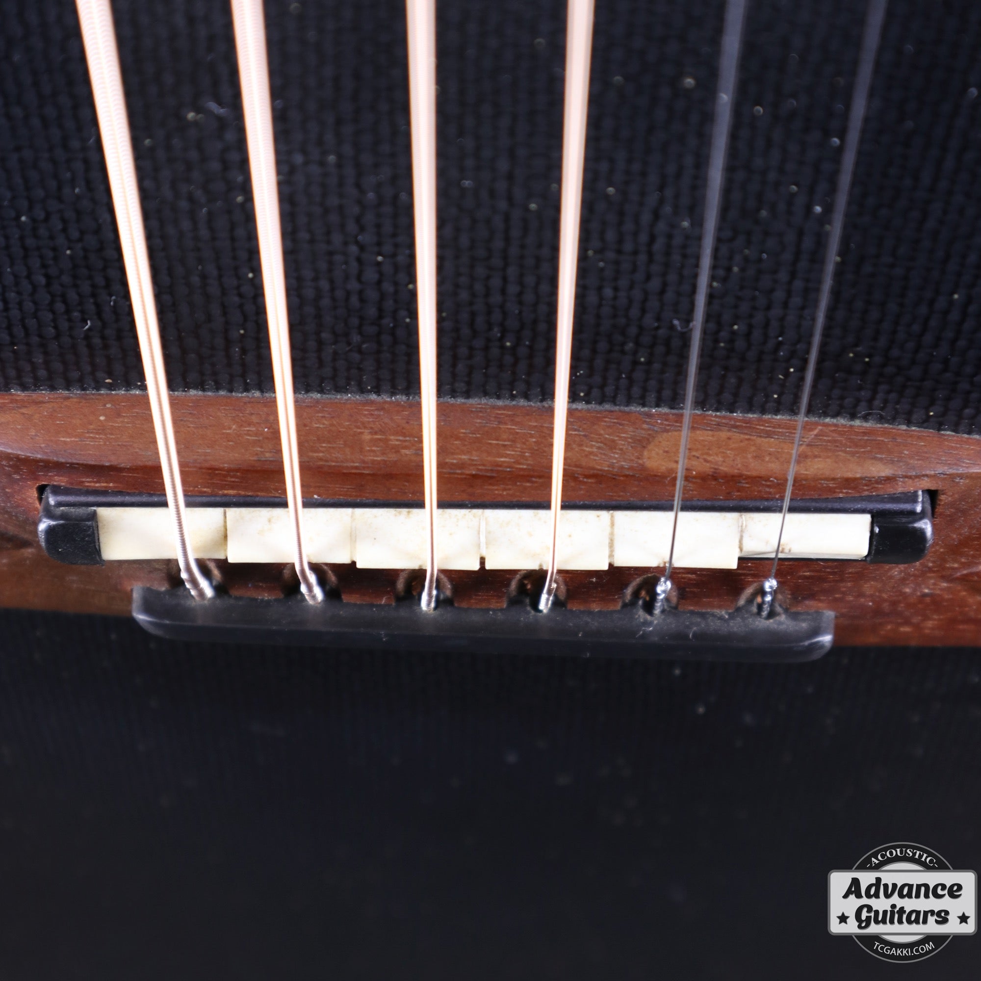 Super Adamas 1687 - 5 - TC楽器 - TCGAKKI