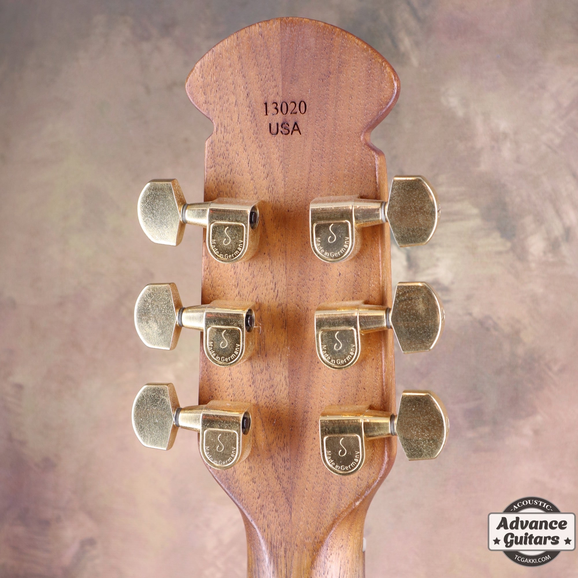 Super Adamas 1687 - 5 - TC楽器 - TCGAKKI