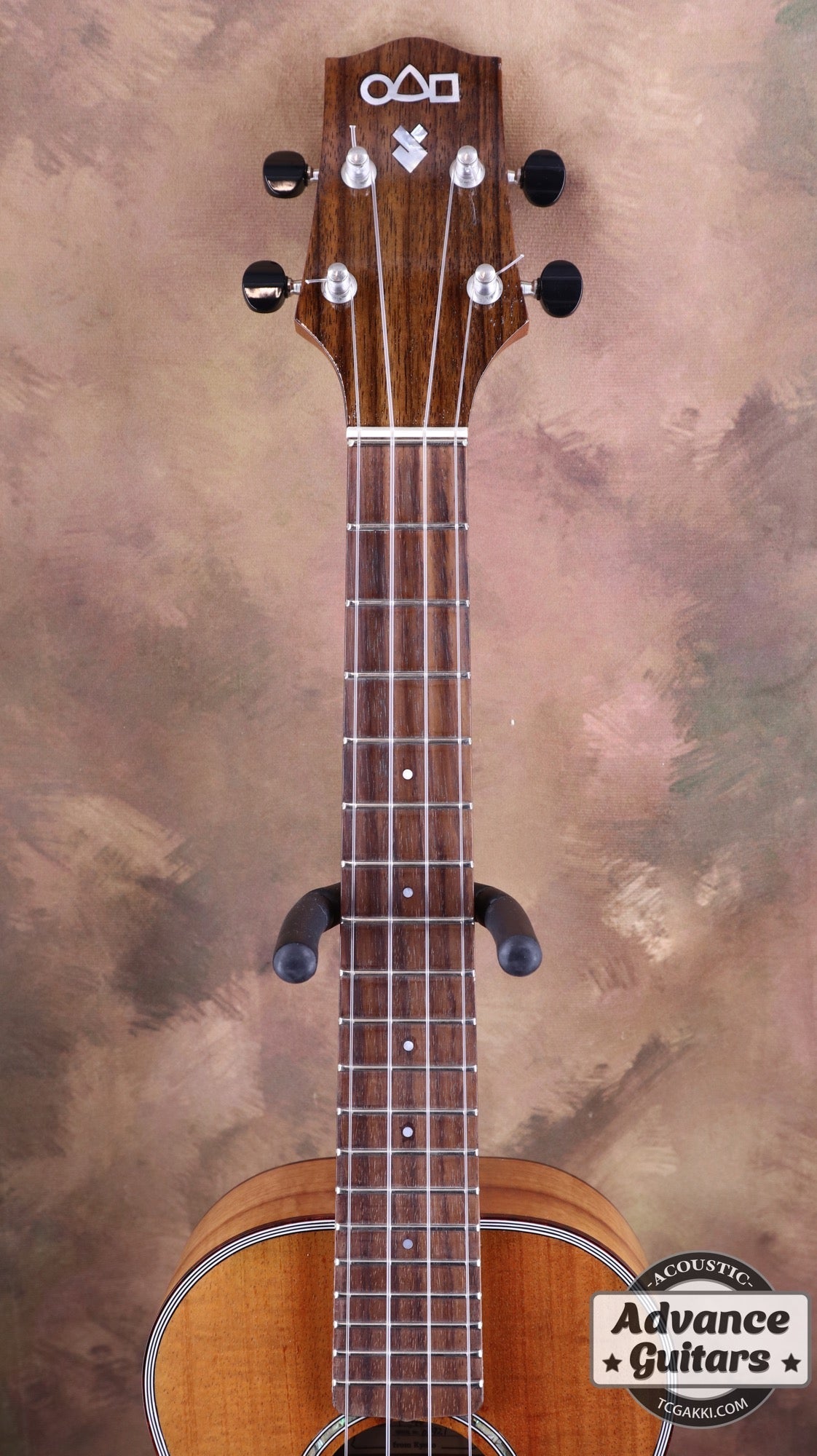 サブライム/Pebble-T Standard #24-Hawaian Koa Sublime Guitar Craft Pebble-T Standard #24 - Hawaian Koa 3A