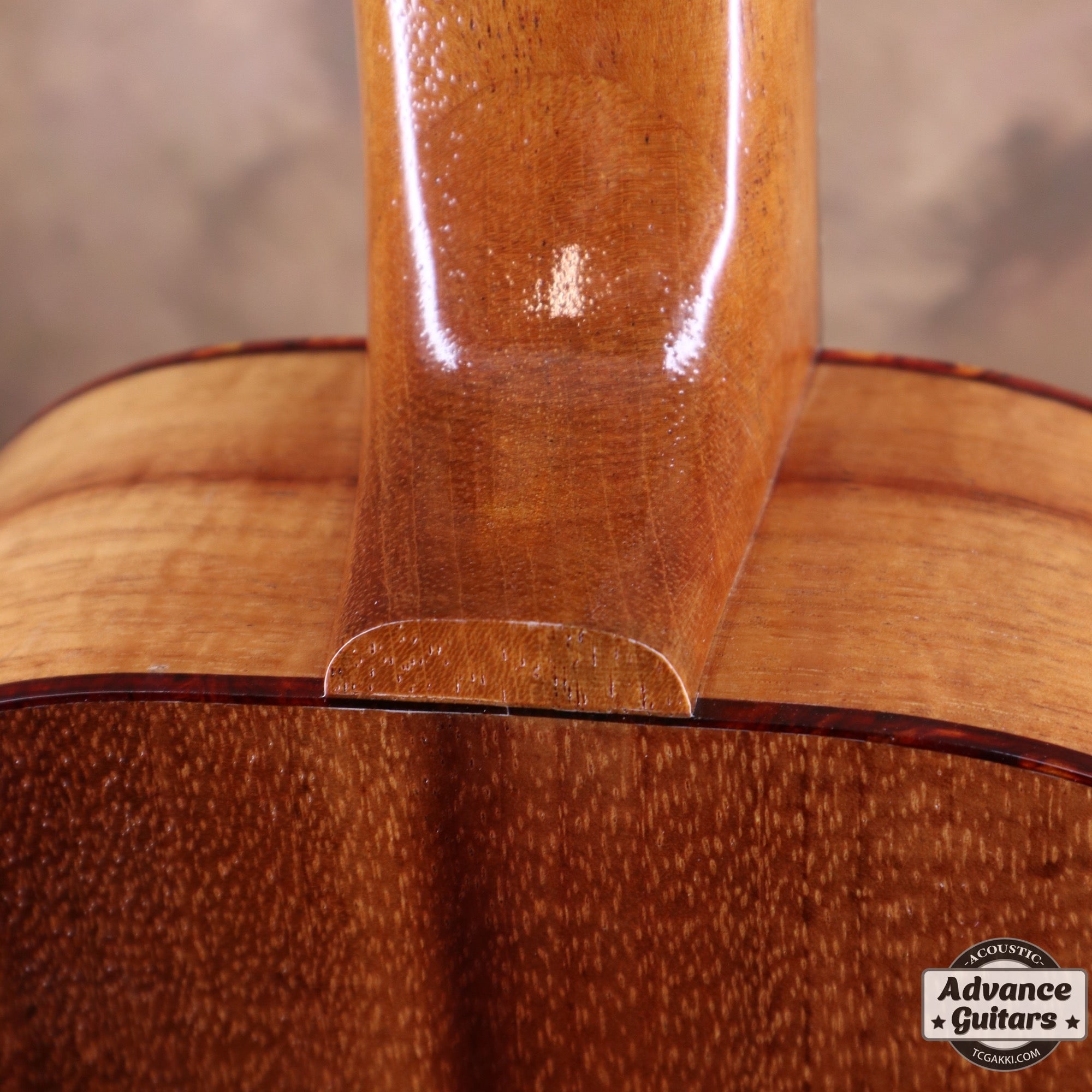 T - 46 Hawaiian Koa - TC楽器 - TCGAKKI