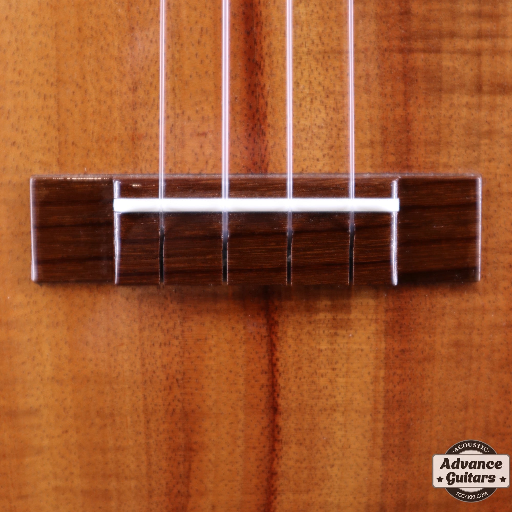 T - 46 Hawaiian Koa - TC楽器 - TCGAKKI