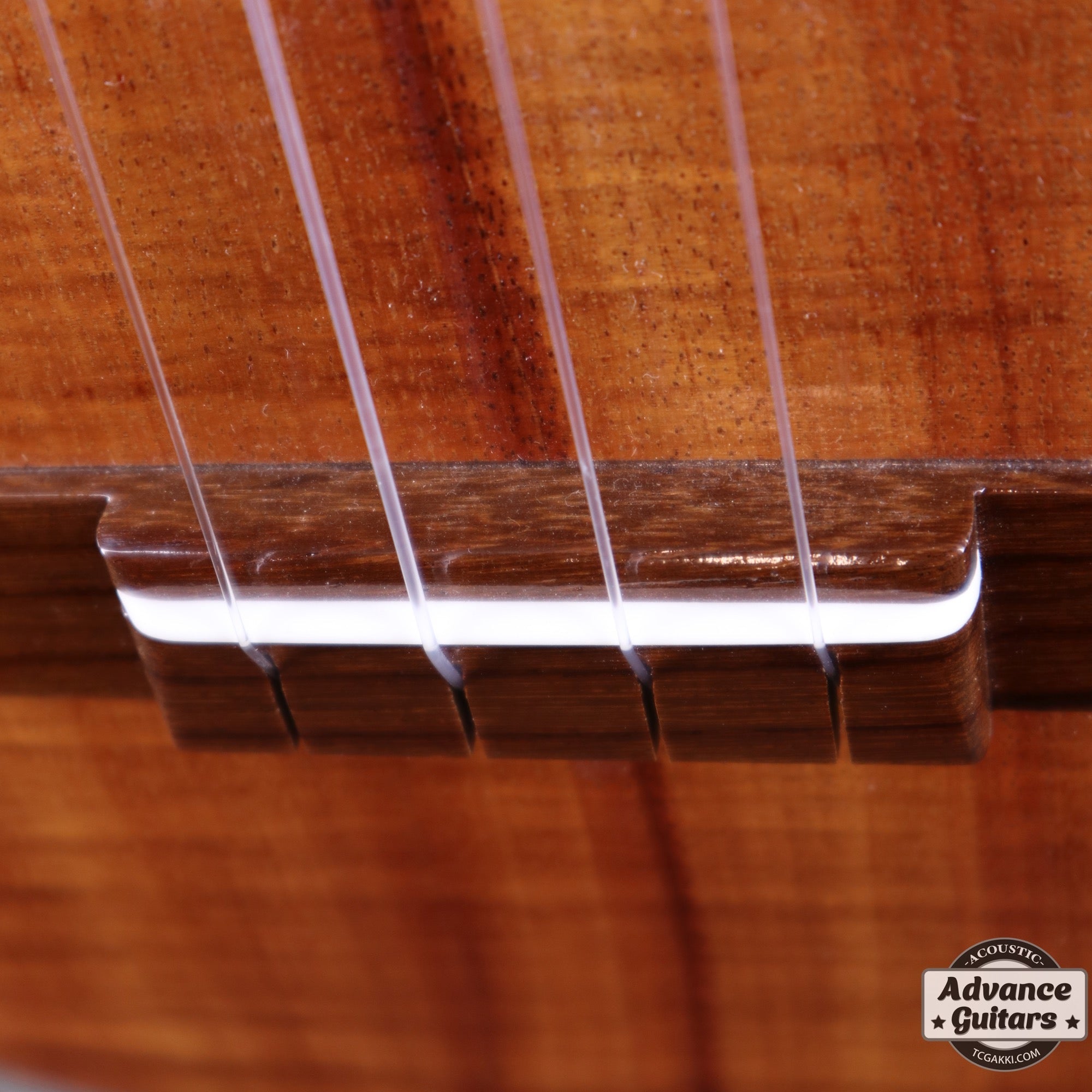 T - 46 Hawaiian Koa - TC楽器 - TCGAKKI