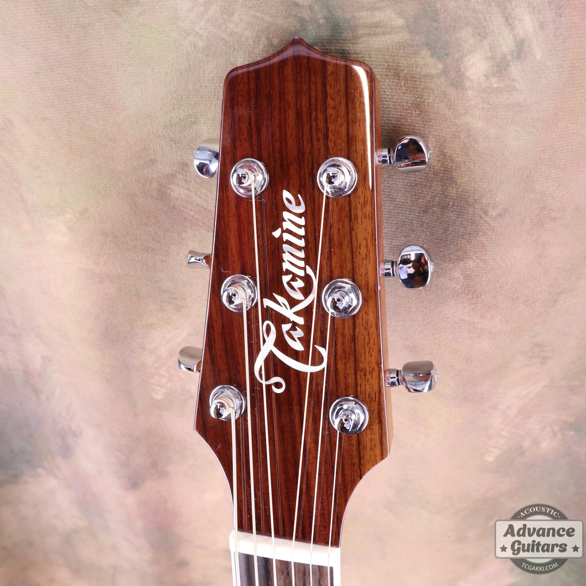 Takamine 2012年製 PTU131KC N