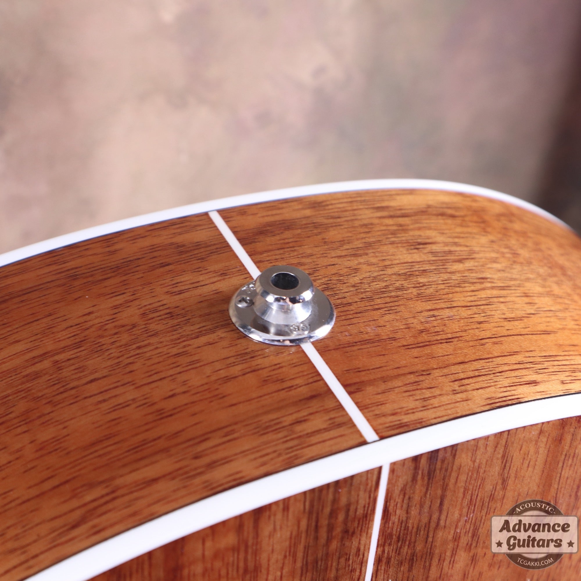 Takamine 2012年製 PTU131KC N