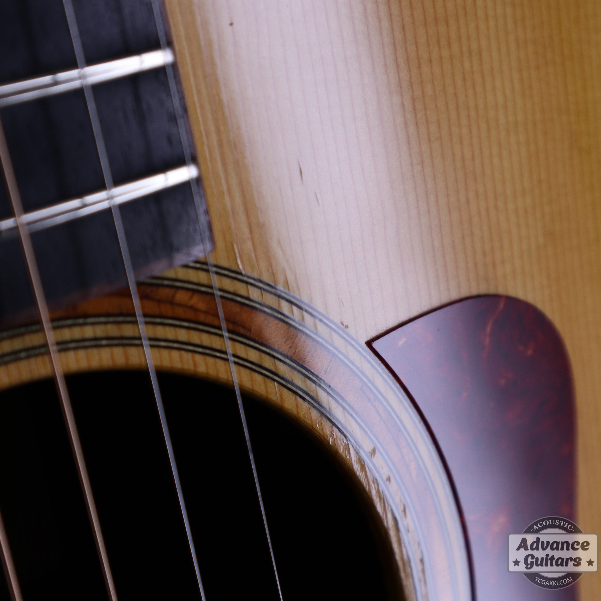 Taylor 2001年製 712 - TC楽器 - TCGAKKI