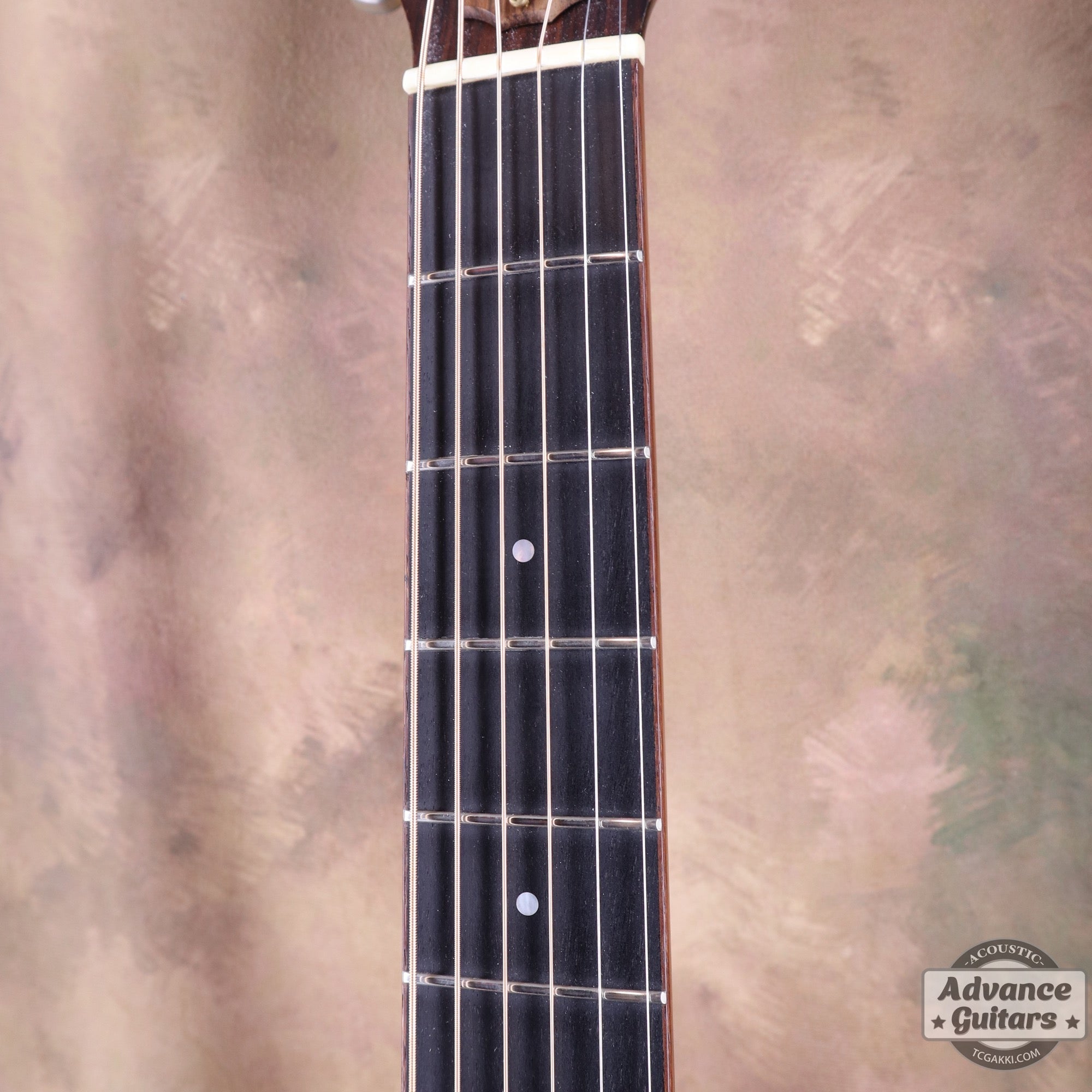 Taylor 2001年製 712 - TC楽器 - TCGAKKI