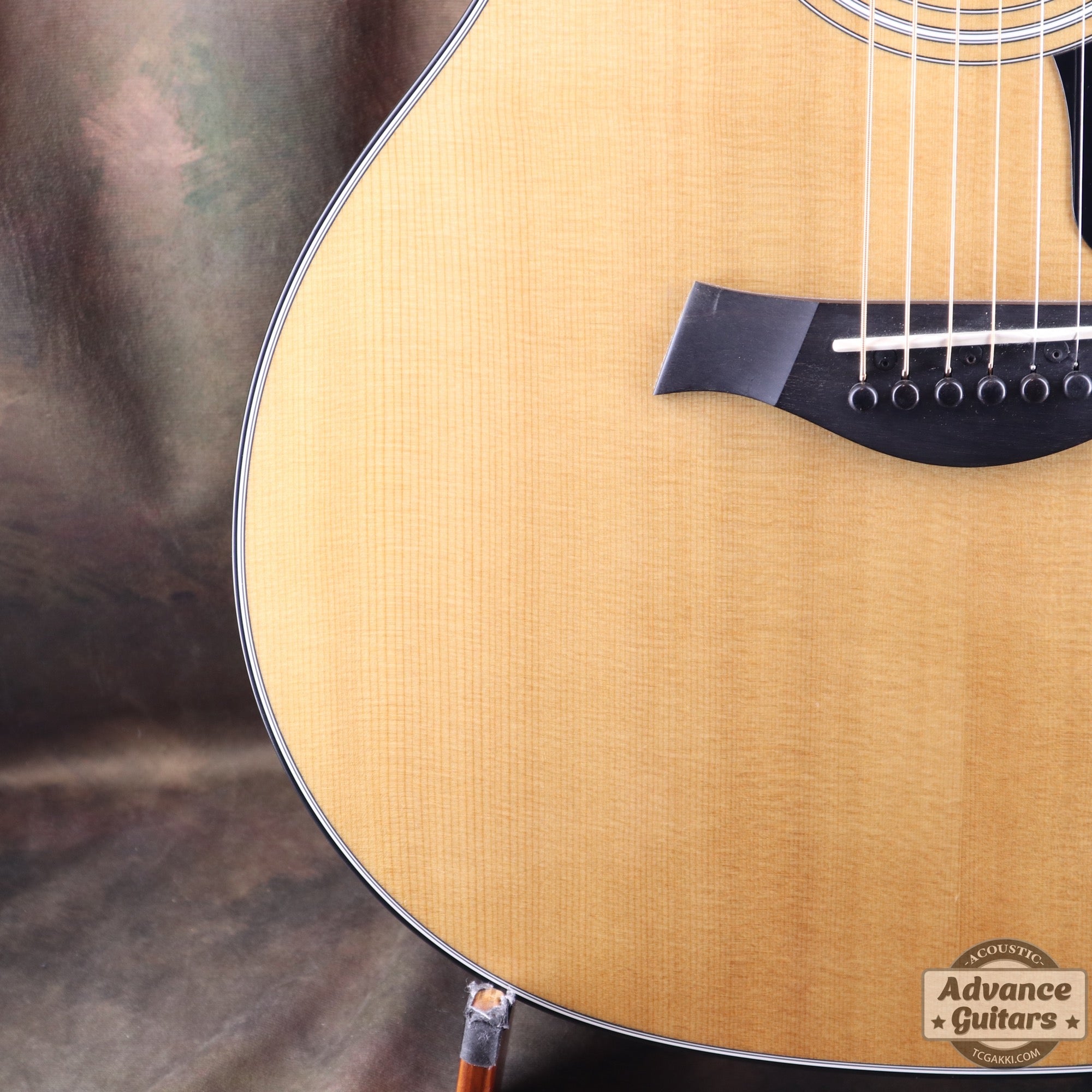 Taylor 2011年製 314ce ES2 - TC楽器 - TCGAKKI