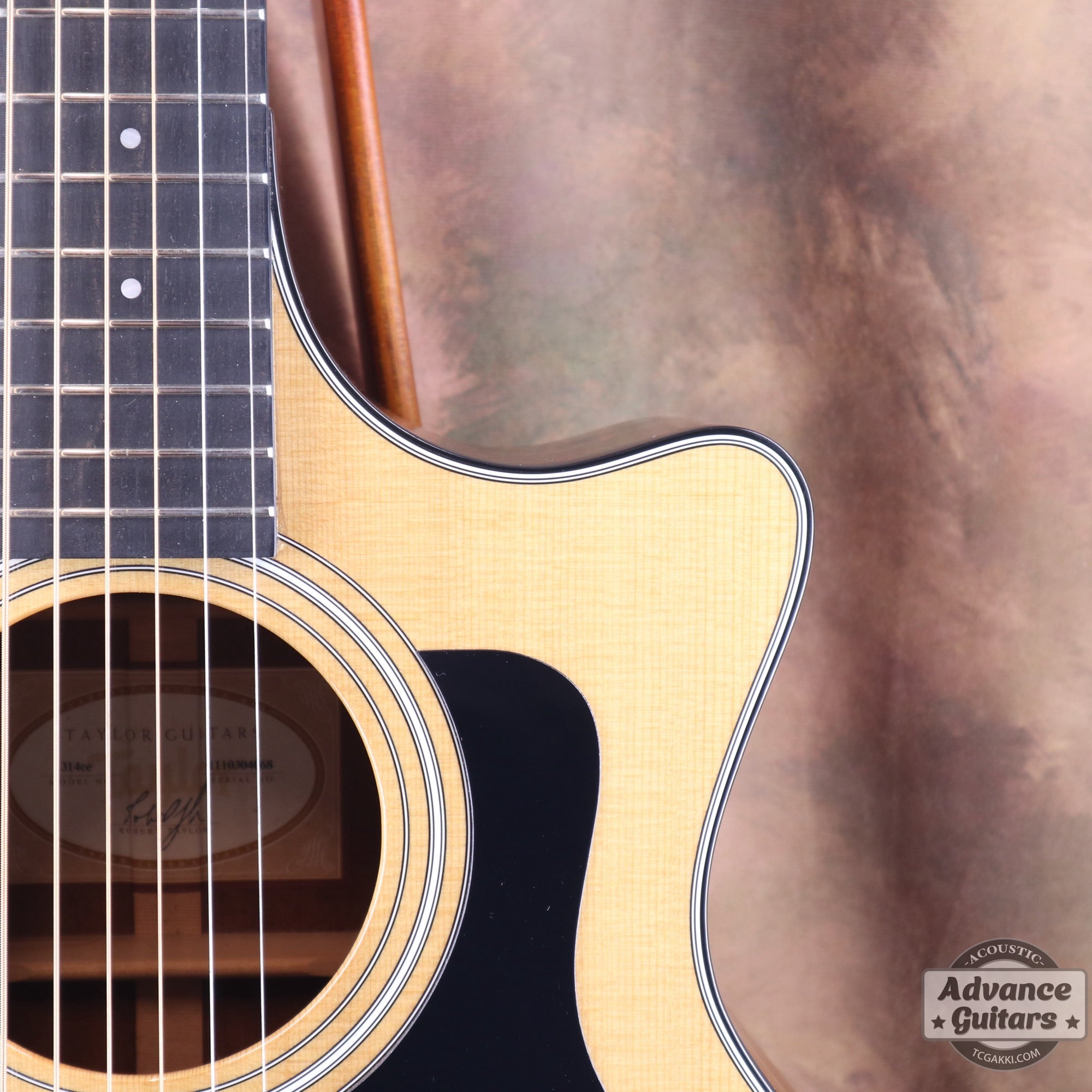 Taylor 2011年製 314ce ES2 - TC楽器 - TCGAKKI