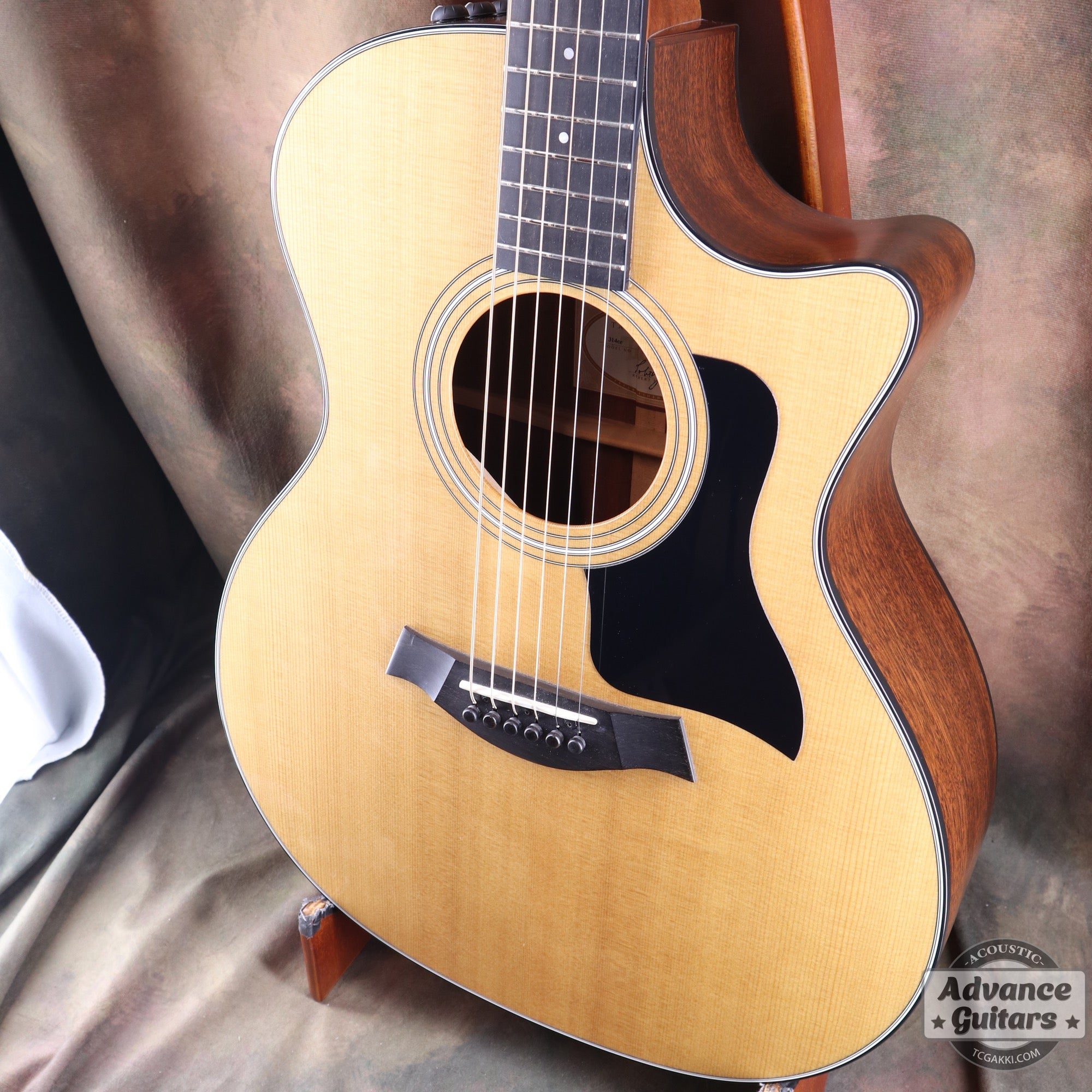 Taylor 2011年製 314ce ES2 - TC楽器 - TCGAKKI