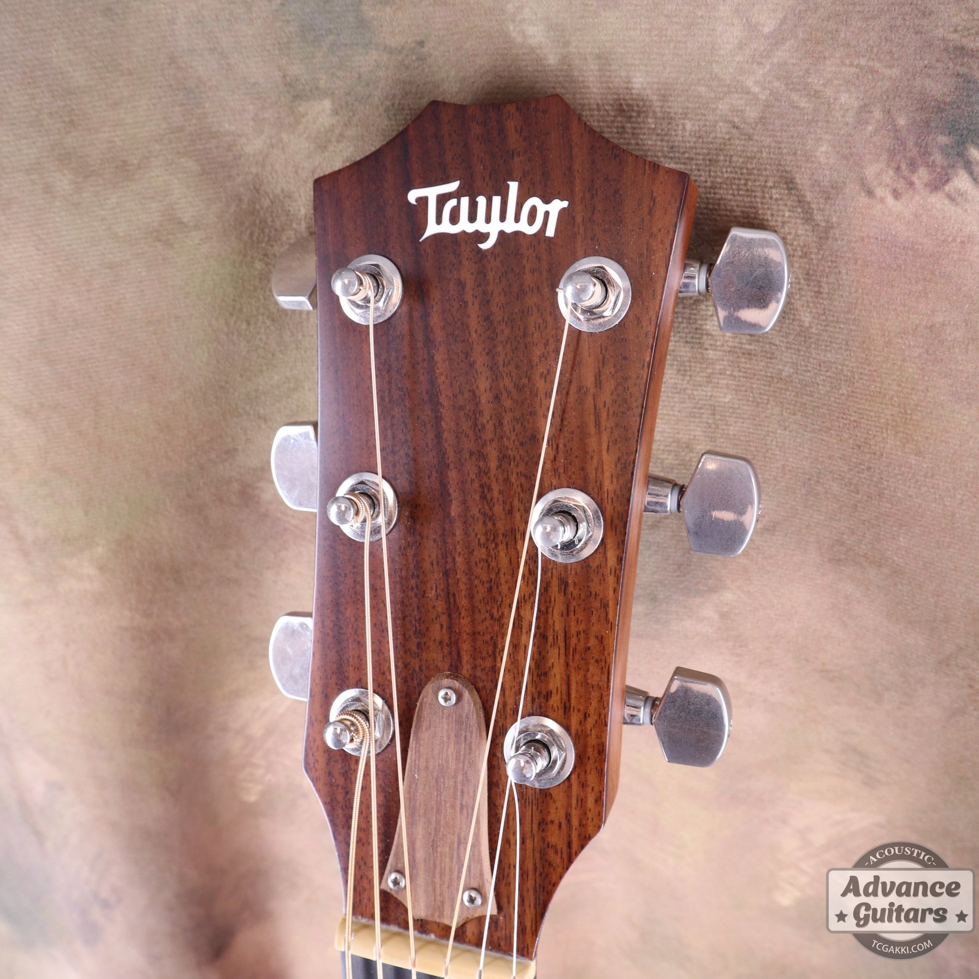 Taylor 2011年製 314ce ES2 - TC楽器 - TCGAKKI