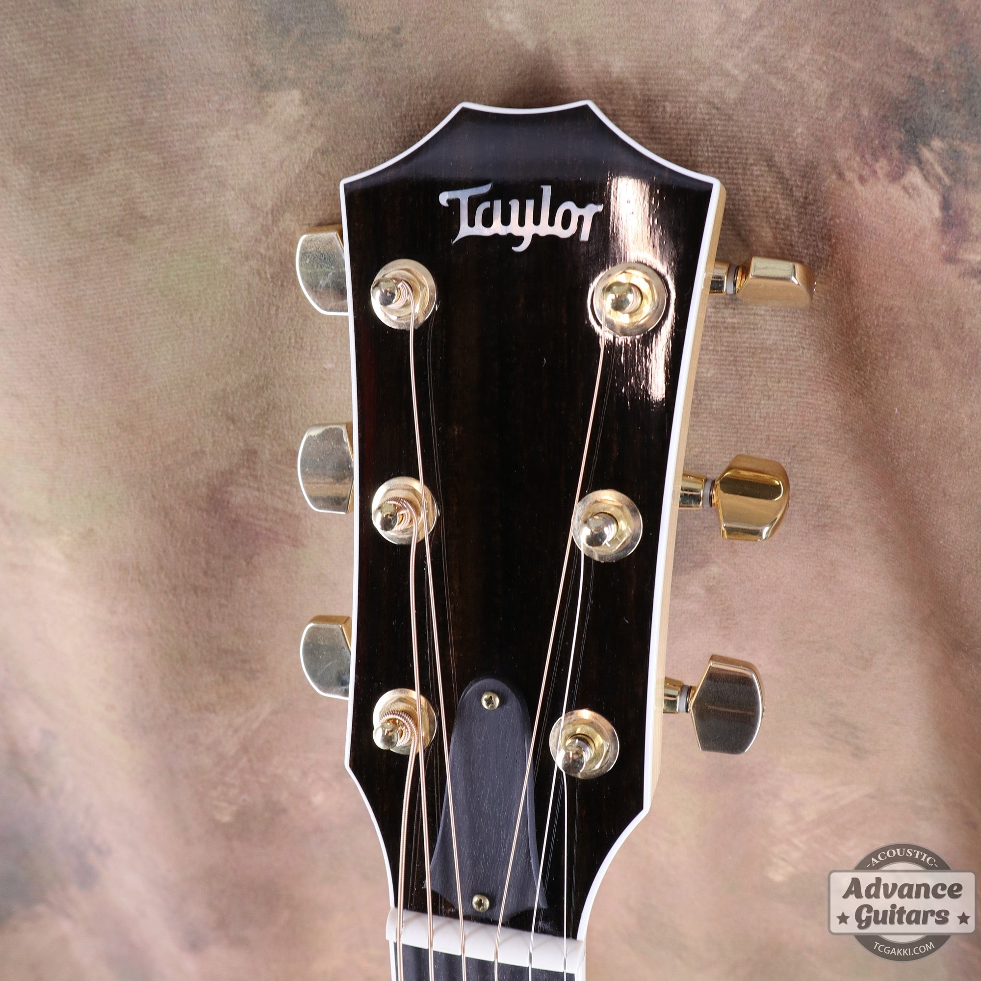 Taylor 2011年製 614ce Flame Maple - TC楽器 - TCGAKKI