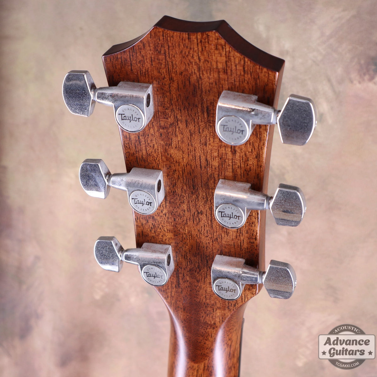 Taylor 2019年製 Builder’s Edition 517 - TC楽器 - TCGAKKI