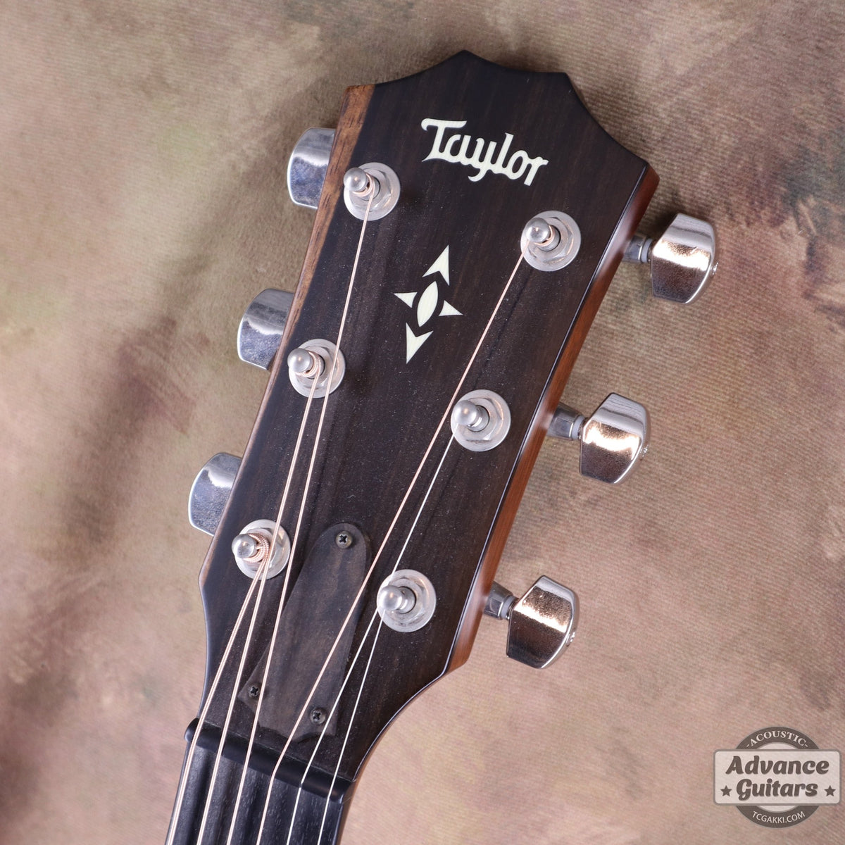 Taylor 2019年製 Builder’s Edition 517 - TC楽器 - TCGAKKI