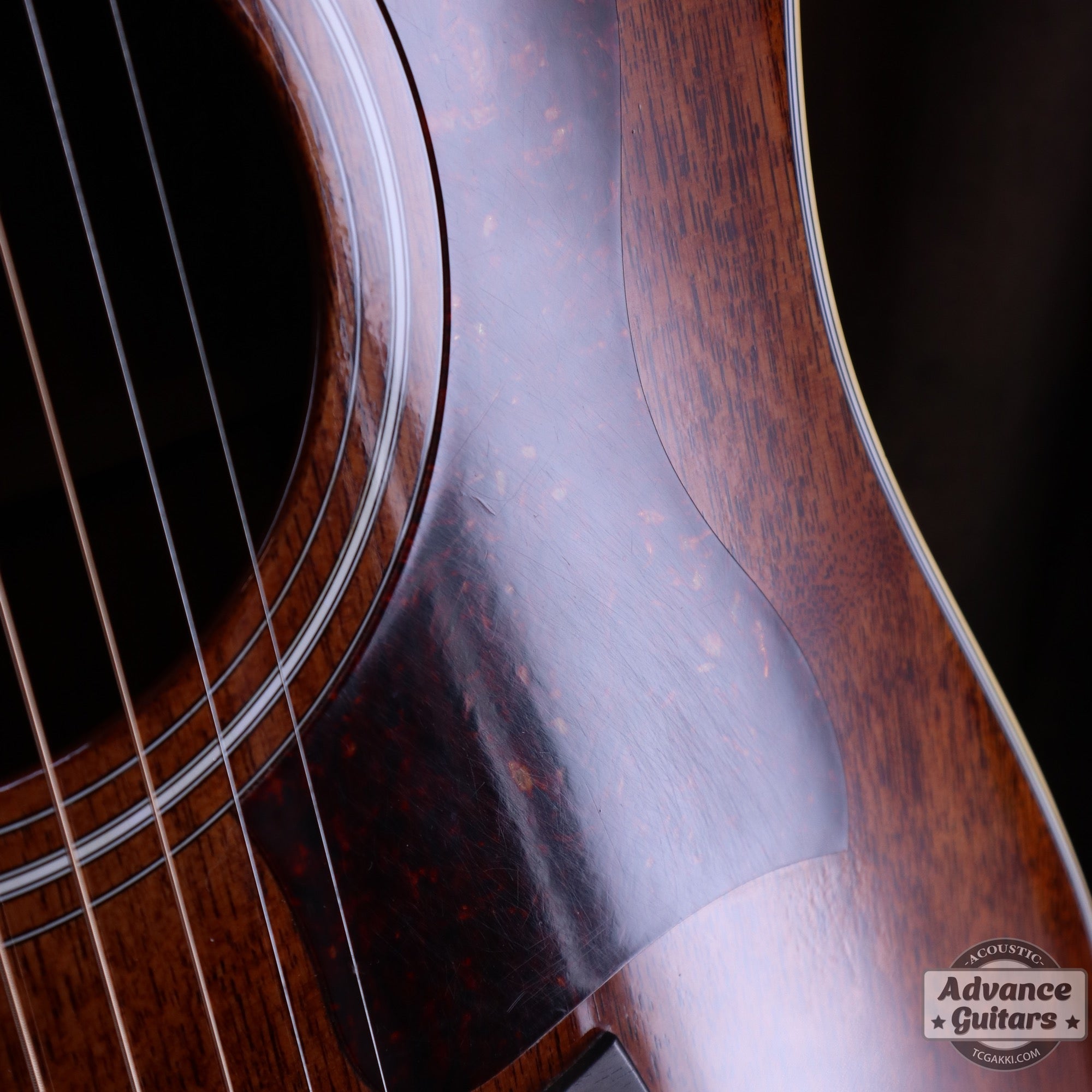 Taylor 25th Anniversary 1999年製 310 - M - TC楽器 - TCGAKKI