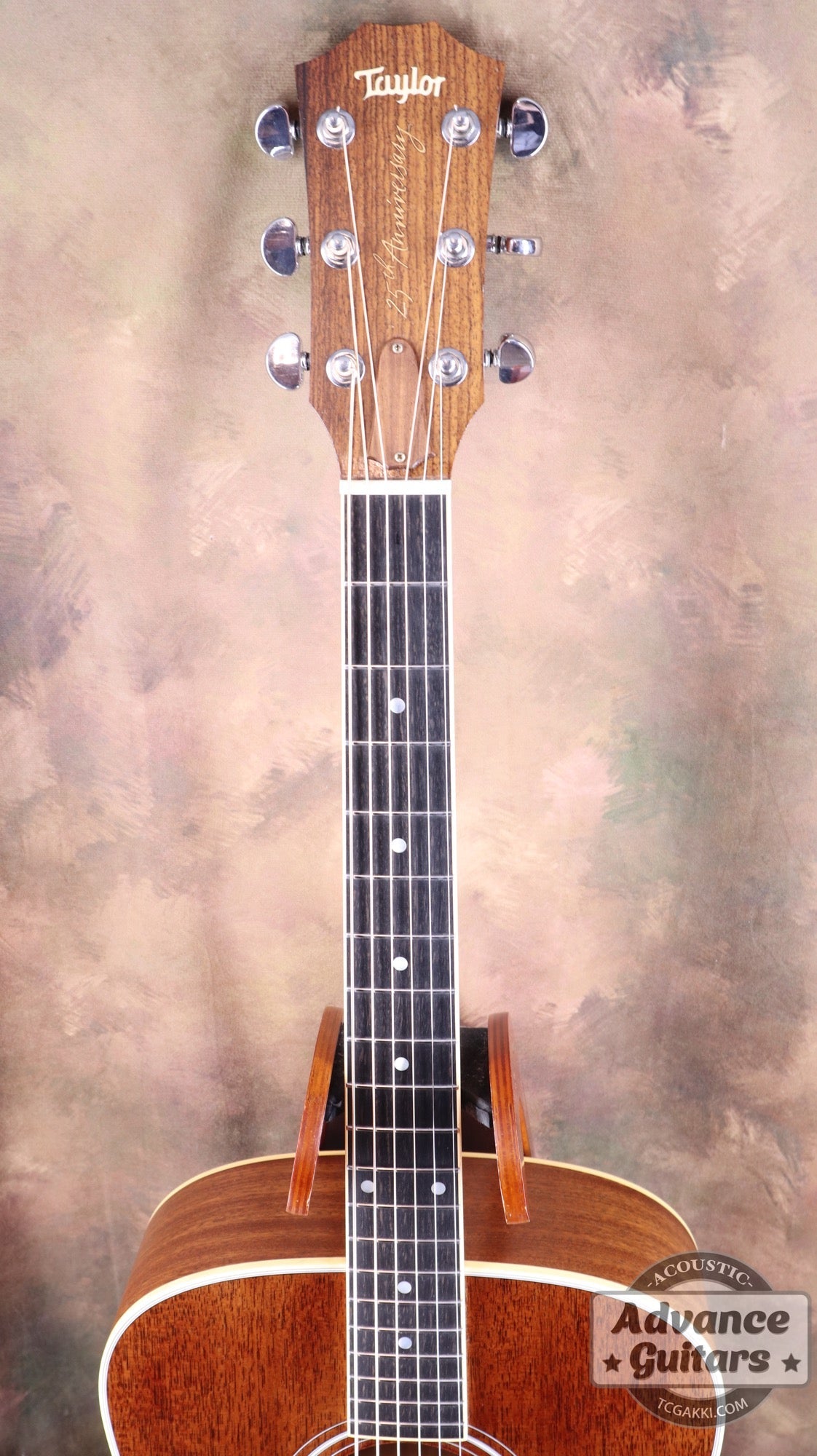 Taylor 25th Anniversary 1999年製 310 - M - TC楽器 - TCGAKKI