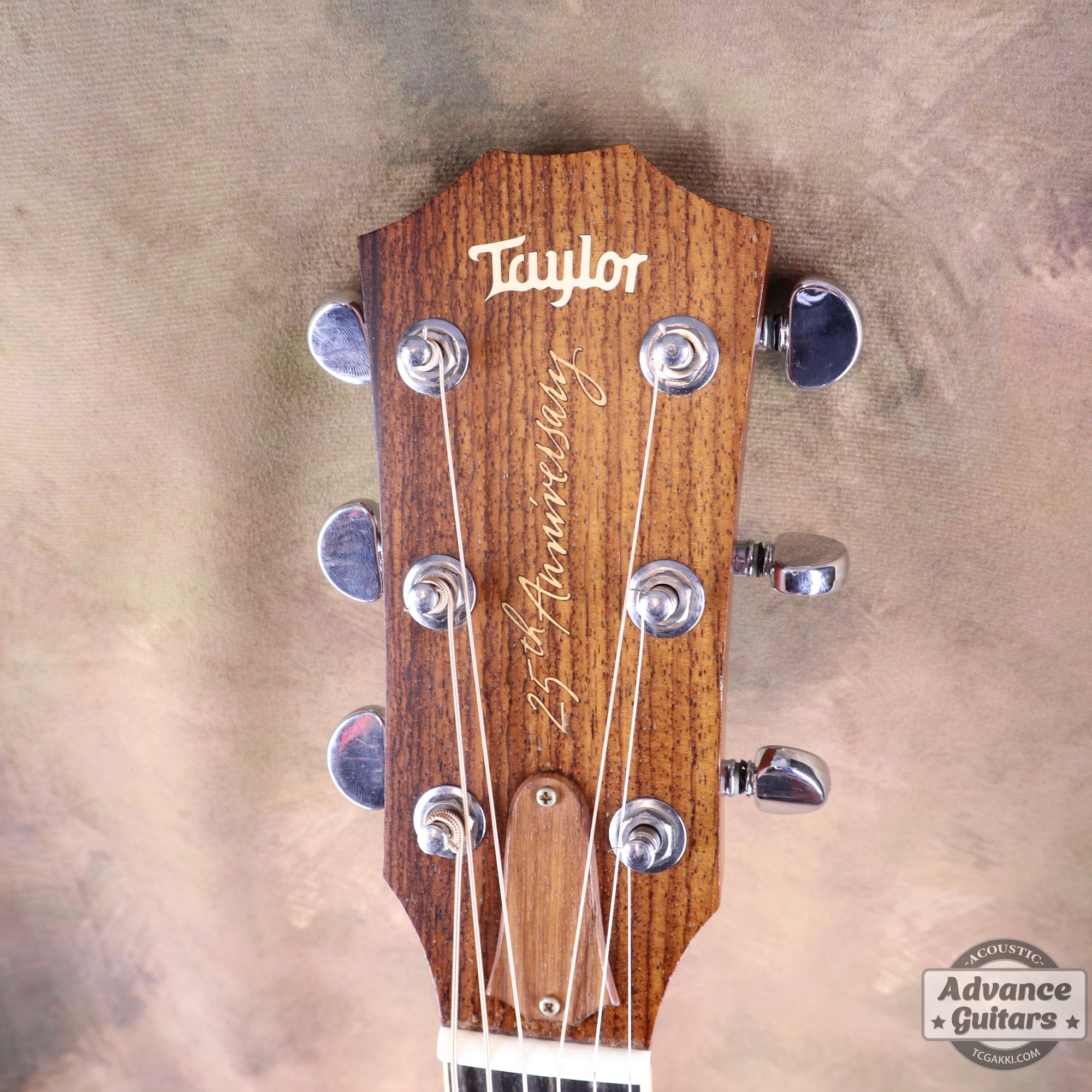 Taylor 25th Anniversary 1999年製 310 - M - TC楽器 - TCGAKKI
