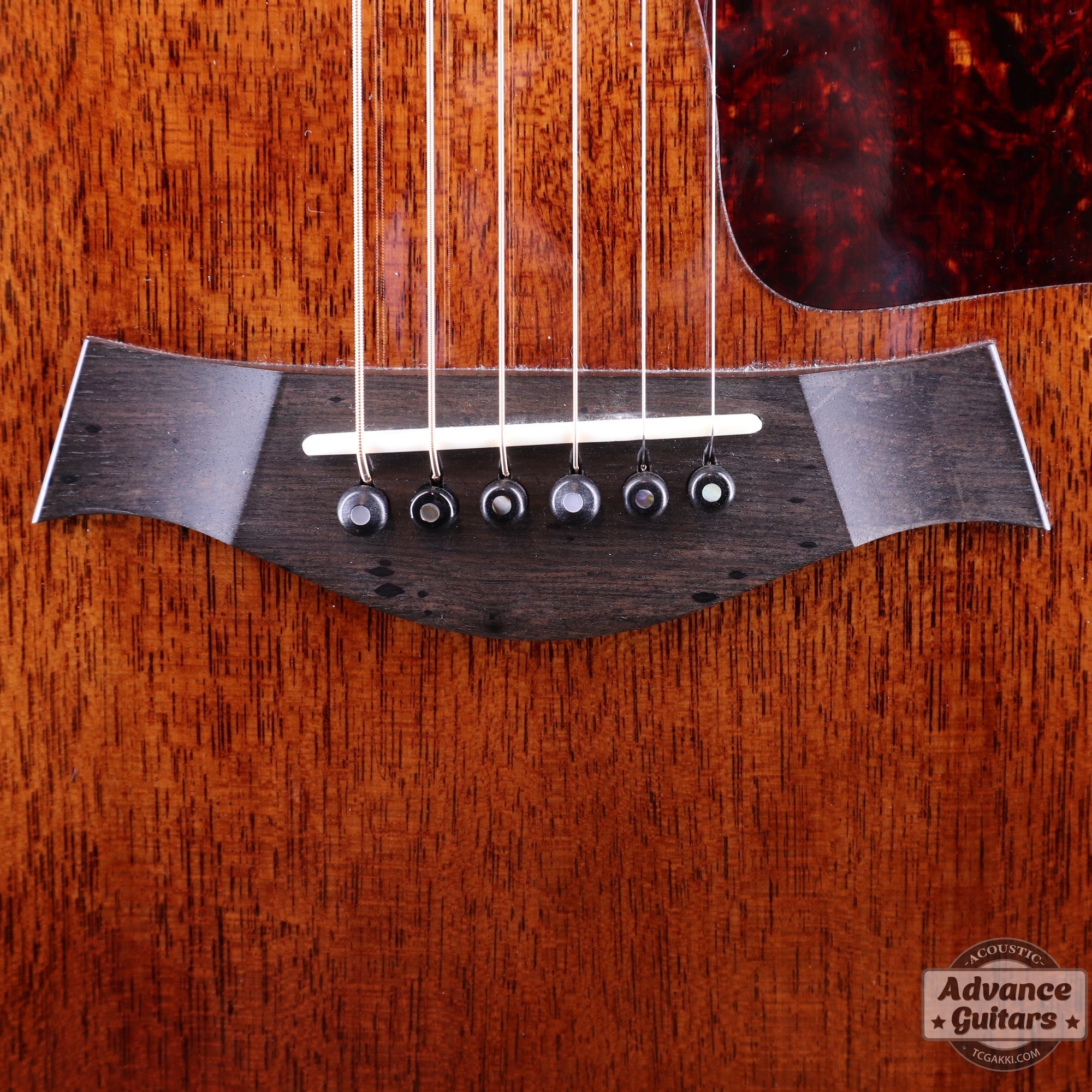 Taylor 25th Anniversary 1999年製 310 - M - TC楽器 - TCGAKKI