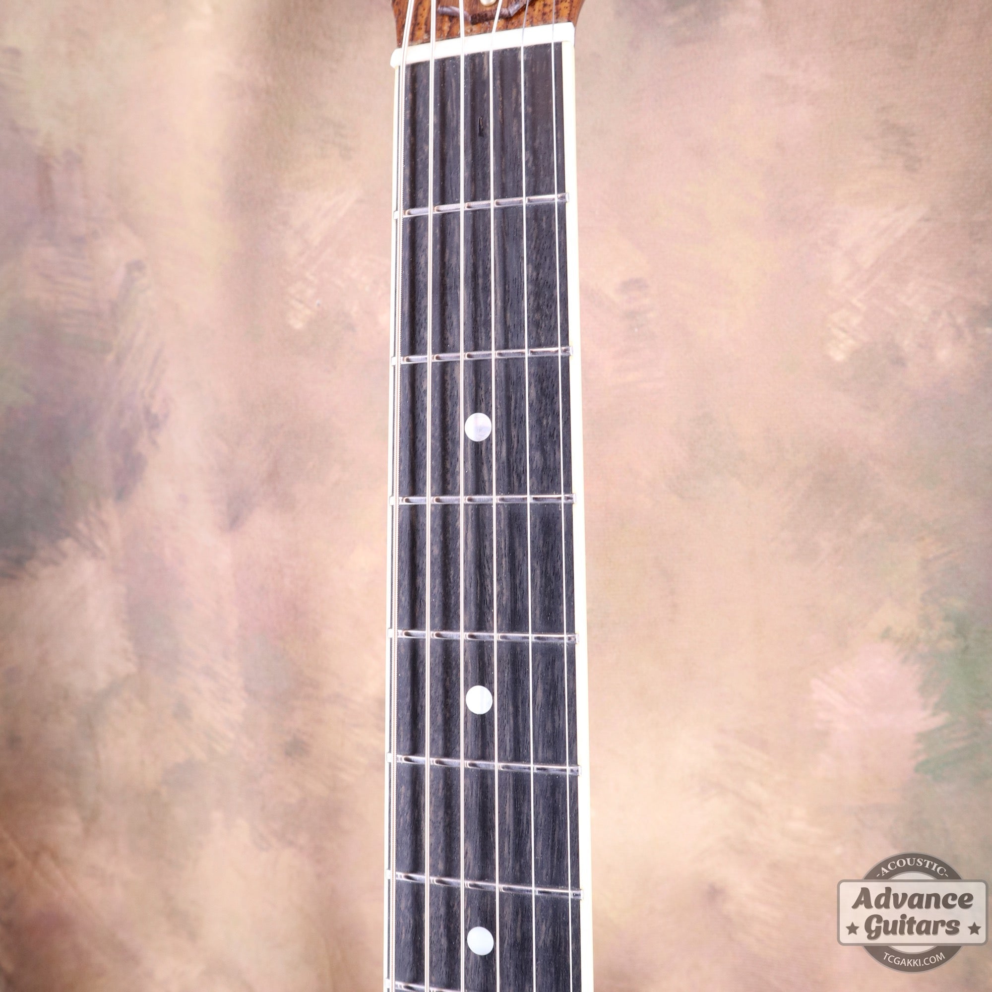 Taylor 25th Anniversary 1999年製 310 - M - TC楽器 - TCGAKKI
