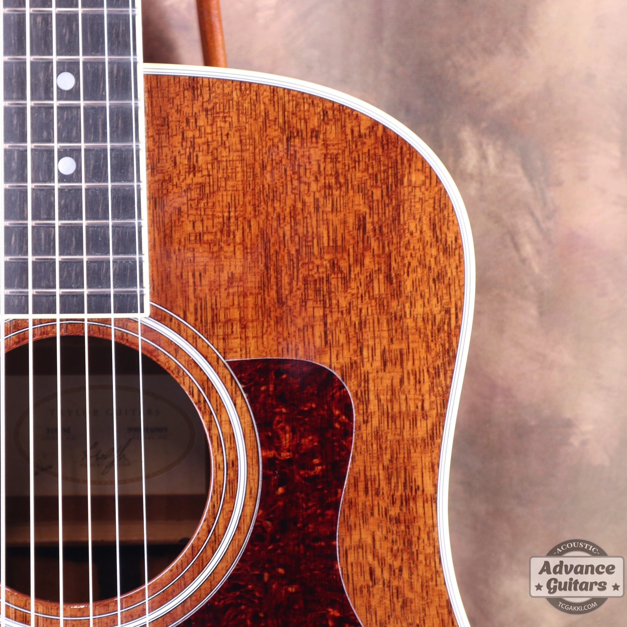 Taylor 25th Anniversary 1999年製 310-M - TC楽器 - TCGAKKI