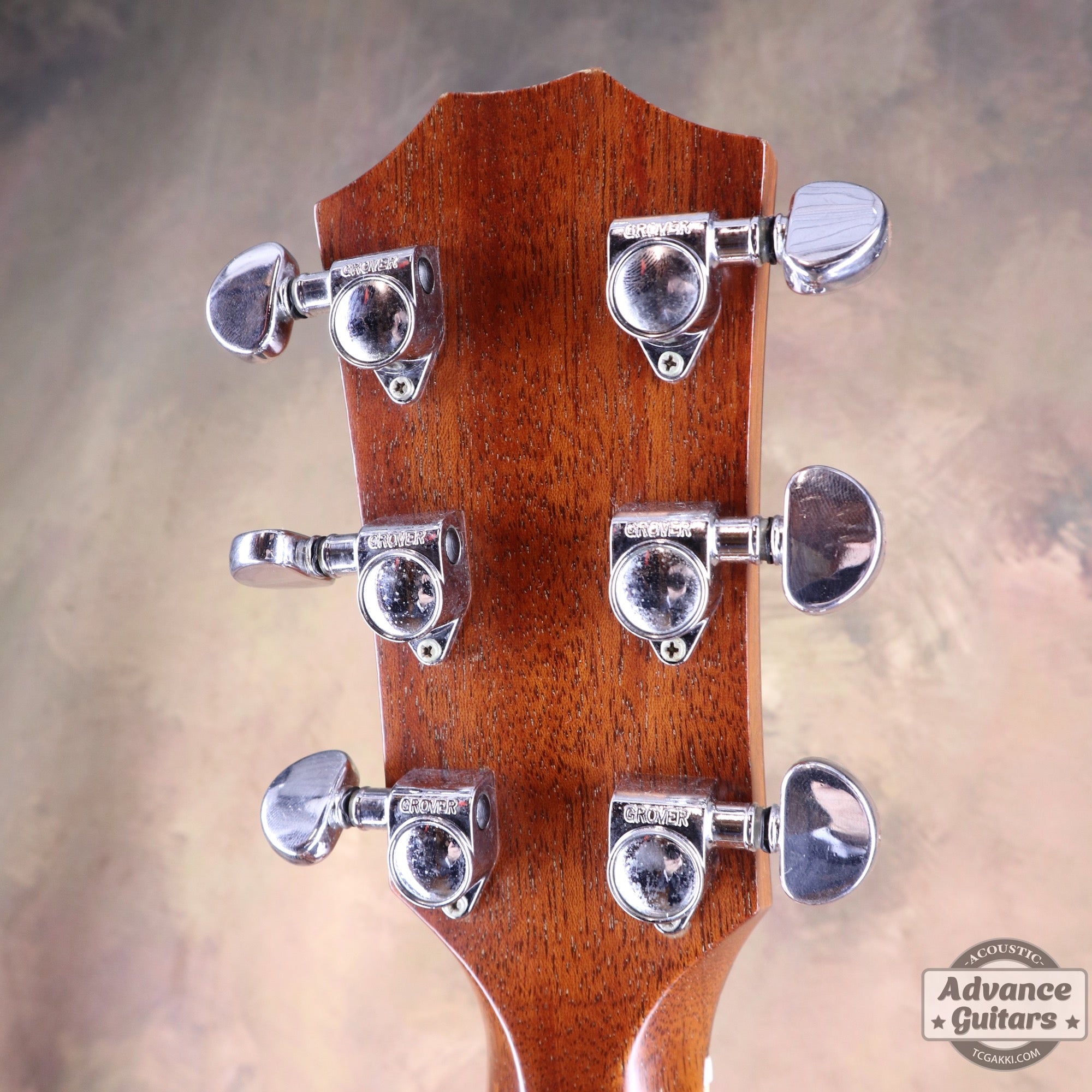 Taylor 25th Anniversary 1999年製 310 - M - TC楽器 - TCGAKKI