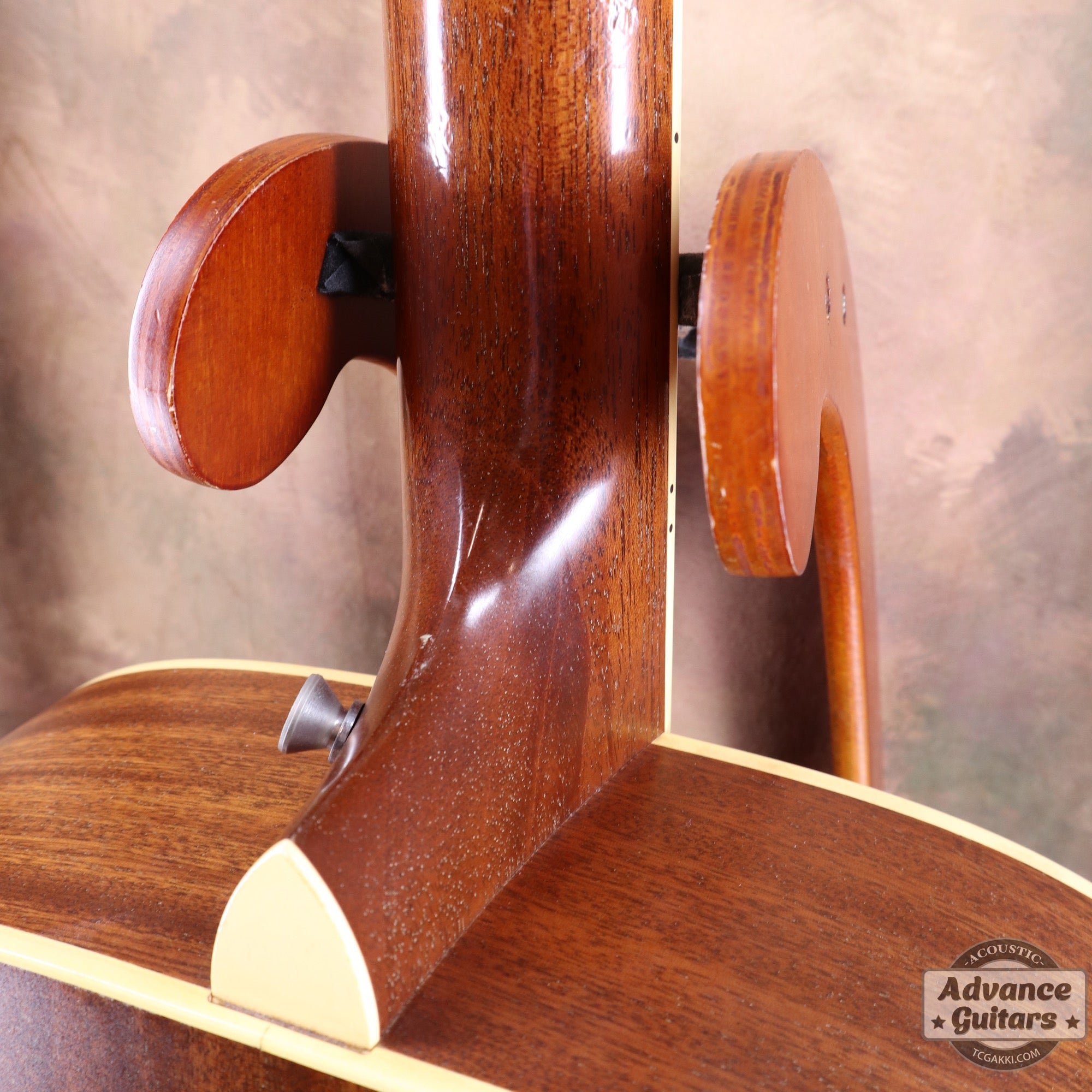 Taylor 25th Anniversary 1999年製 310 - M - TC楽器 - TCGAKKI
