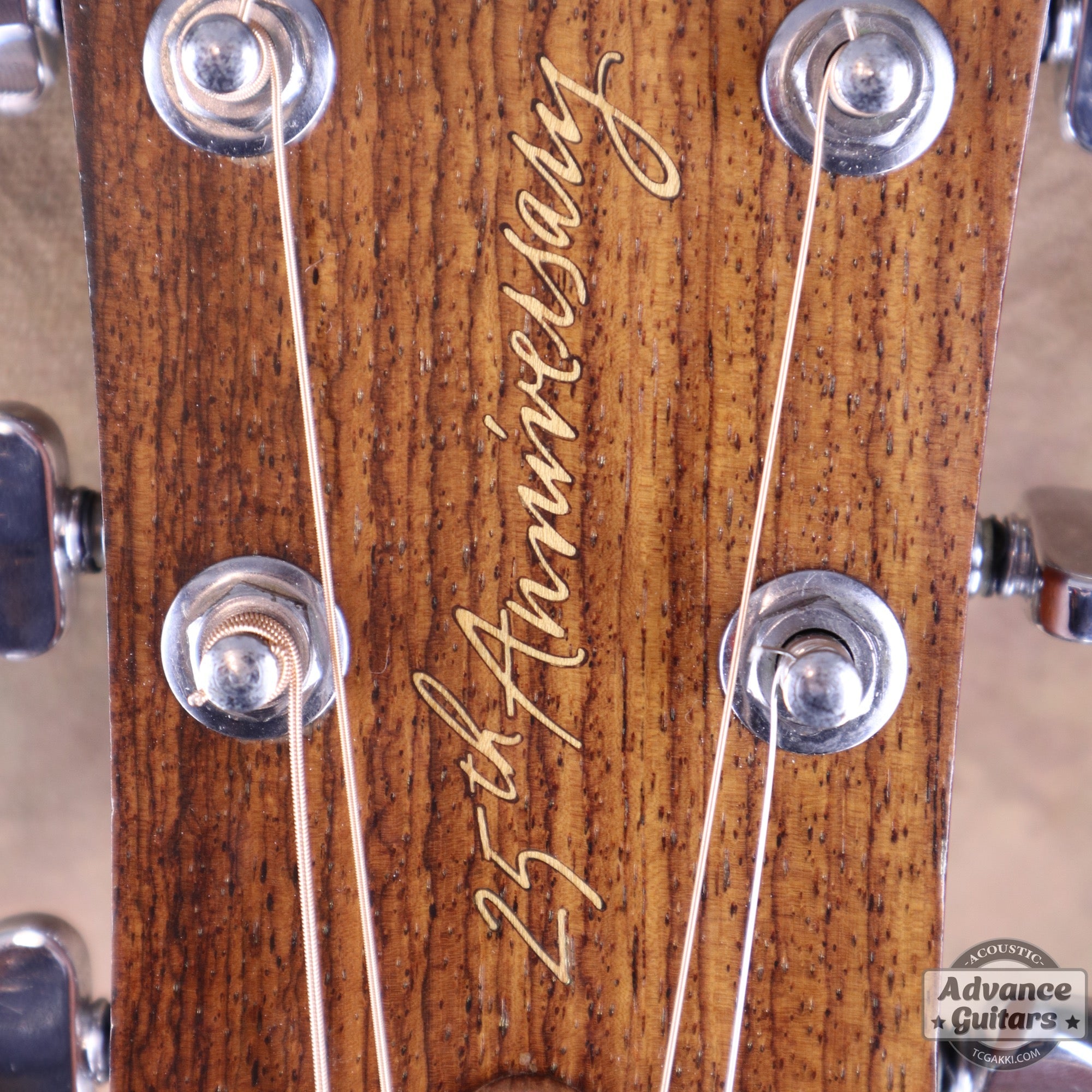 Taylor 25th Anniversary 1999年製 310 - M - TC楽器 - TCGAKKI