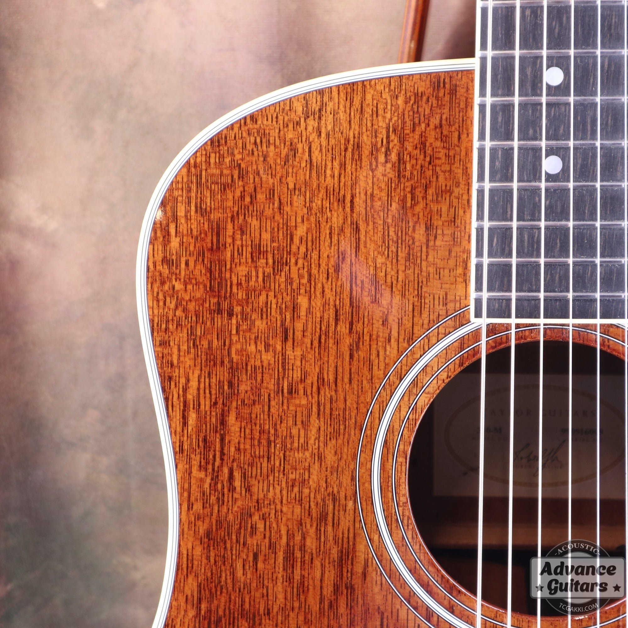 Taylor 25th Anniversary 1999年製 310 - M - TC楽器 - TCGAKKI