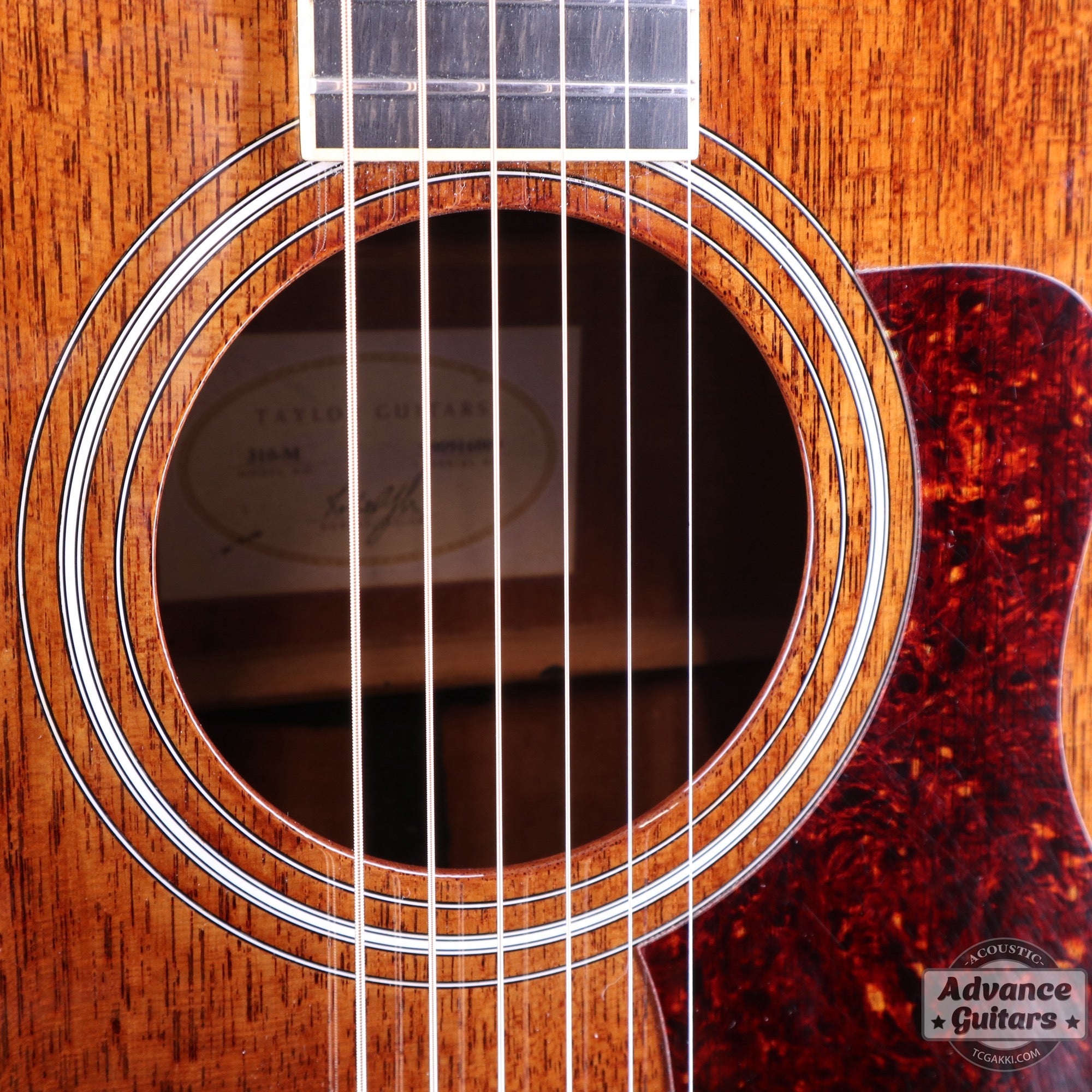 Taylor 25th Anniversary 1999年製 310 - M - TC楽器 - TCGAKKI