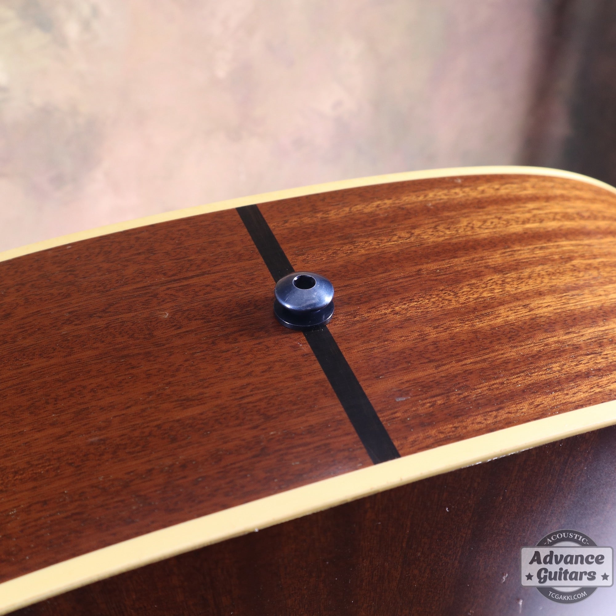 Taylor 25th Anniversary 1999年製 310 - M - TC楽器 - TCGAKKI