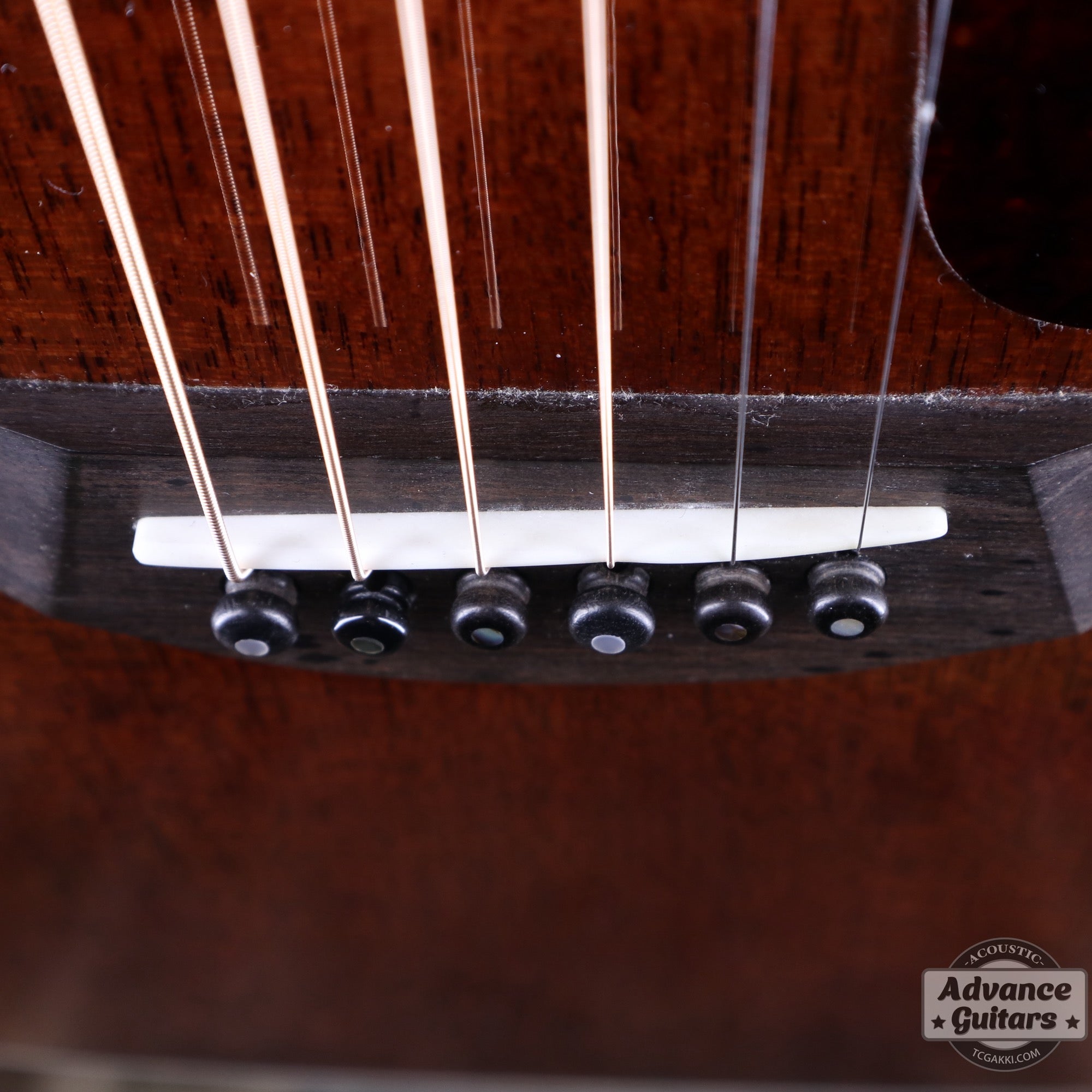 Taylor 25th Anniversary 1999年製 310 - M - TC楽器 - TCGAKKI