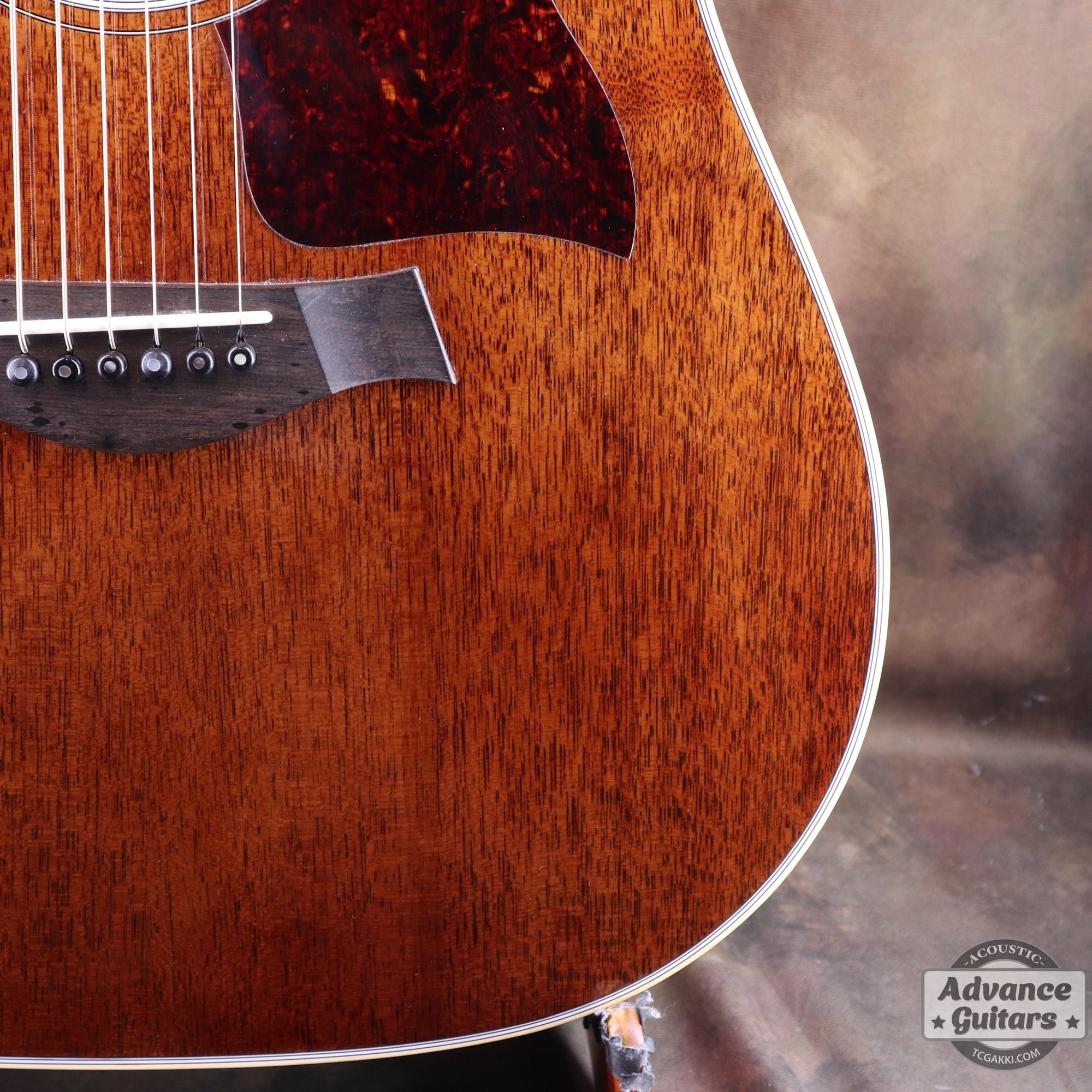Taylor 25th Anniversary 1999年製 310 - M - TC楽器 - TCGAKKI