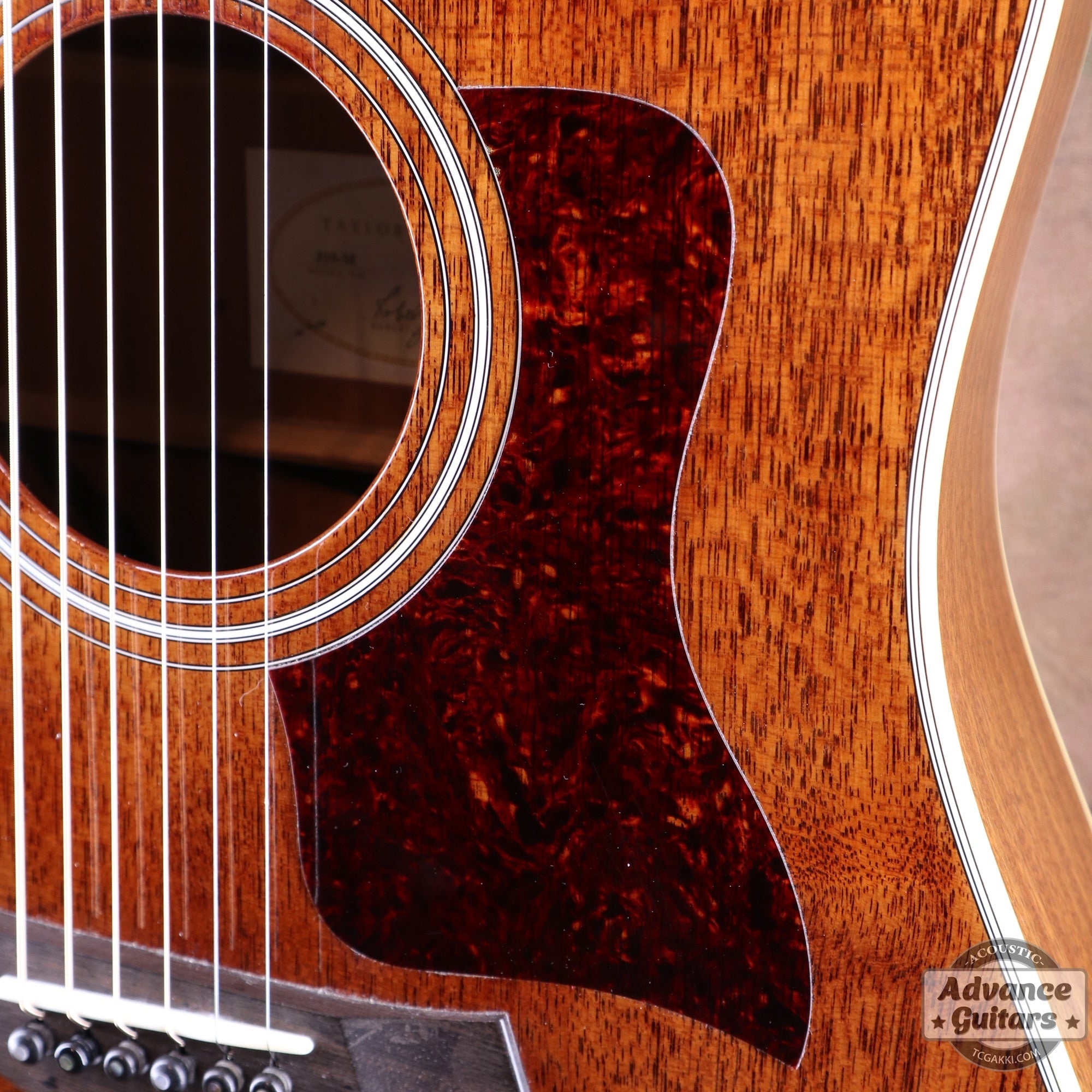 Taylor 25th Anniversary 1999年製 310 - M - TC楽器 - TCGAKKI