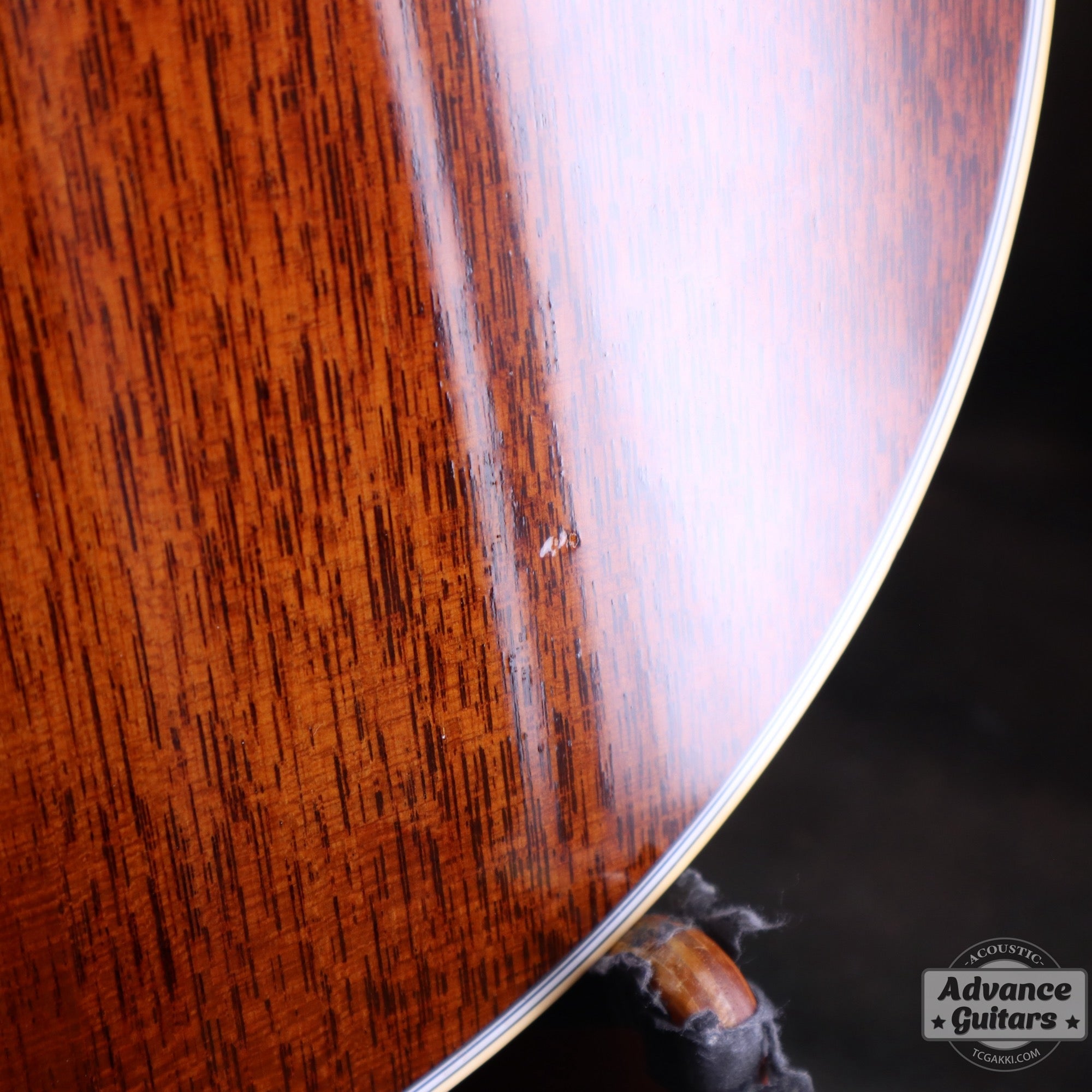 Taylor 25th Anniversary 1999年製 310 - M - TC楽器 - TCGAKKI
