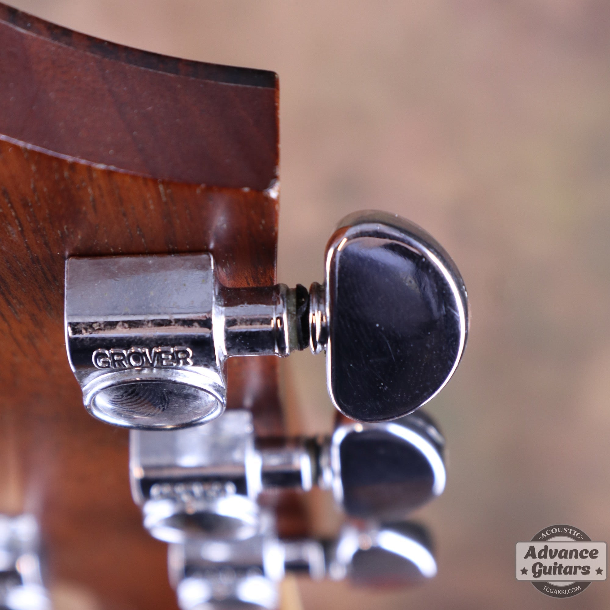 Taylor 25th Anniversary 1999年製 310 - M - TC楽器 - TCGAKKI