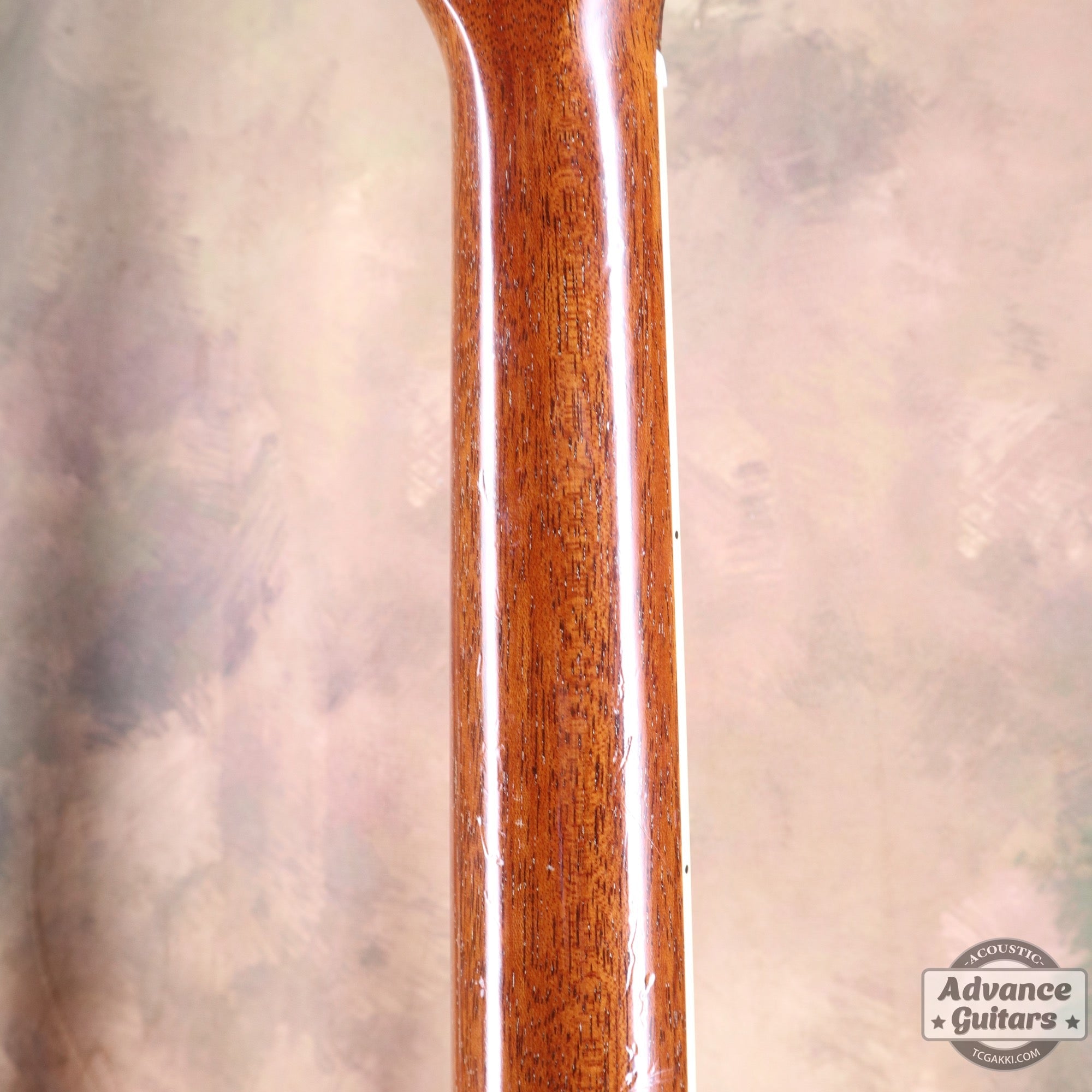 Taylor 25th Anniversary 1999年製 310 - M - TC楽器 - TCGAKKI