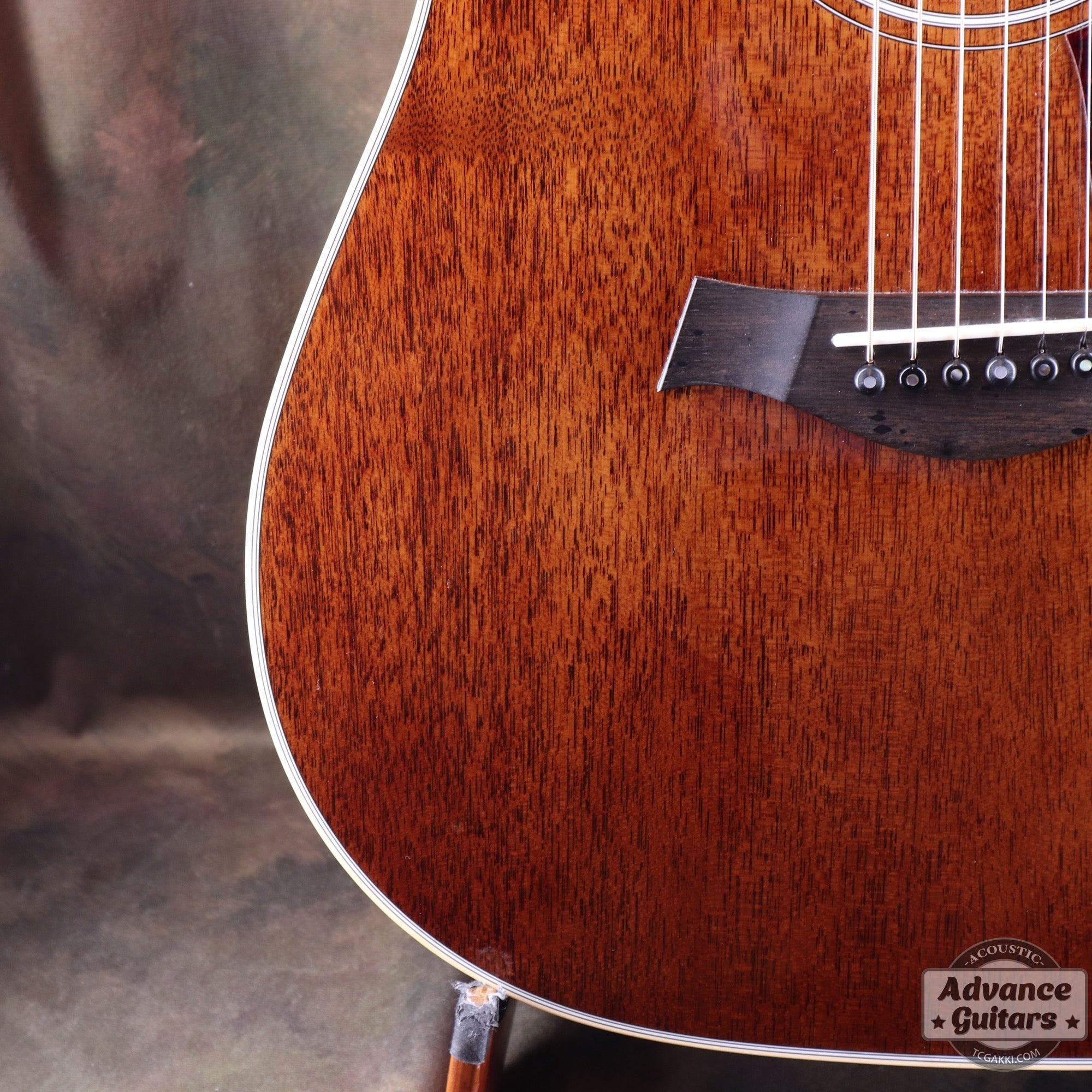 Taylor 25th Anniversary 1999年製 310-M - TC楽器 - TCGAKKI