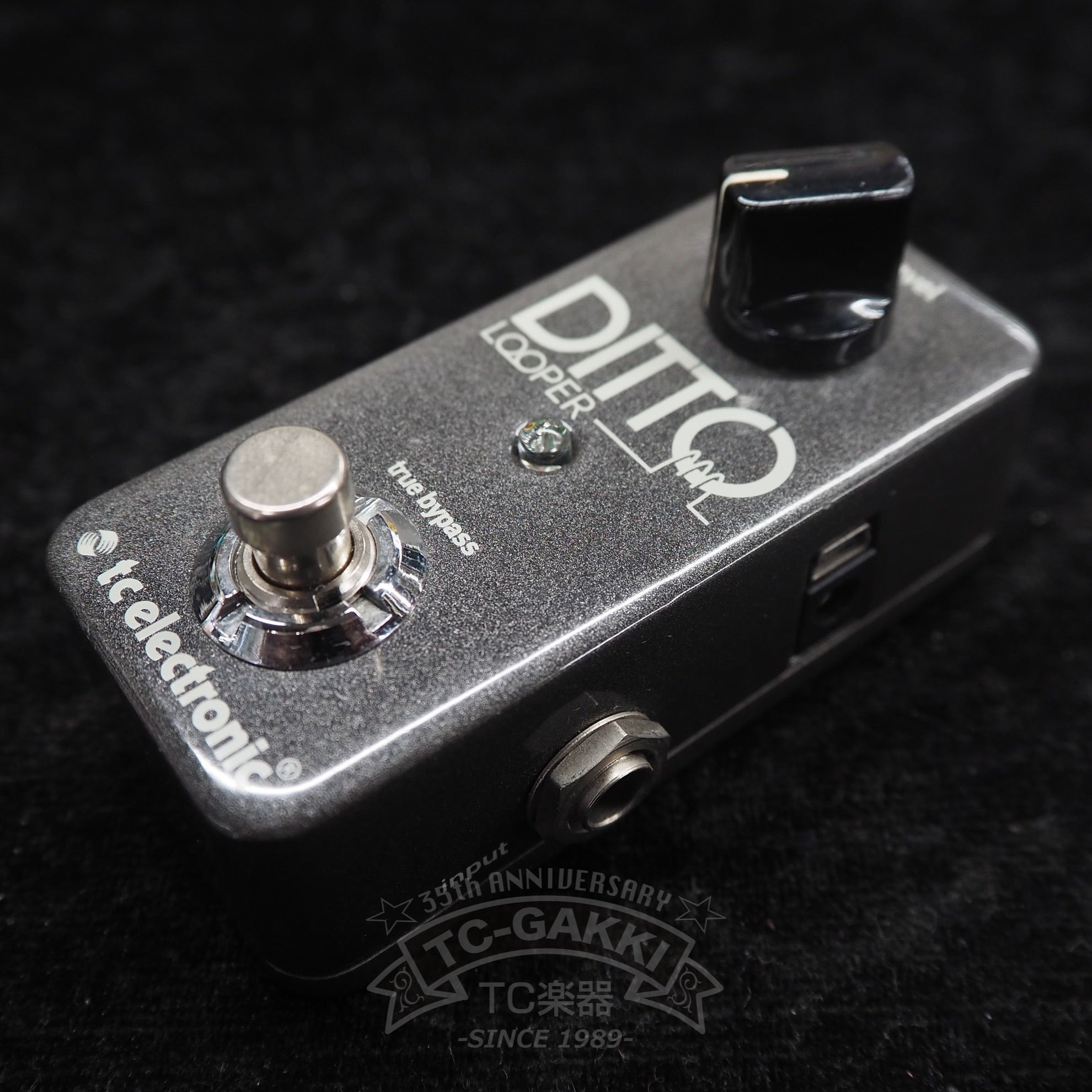 t.c. electronic DITTO LOOPER - TC楽器 - TCGAKKI